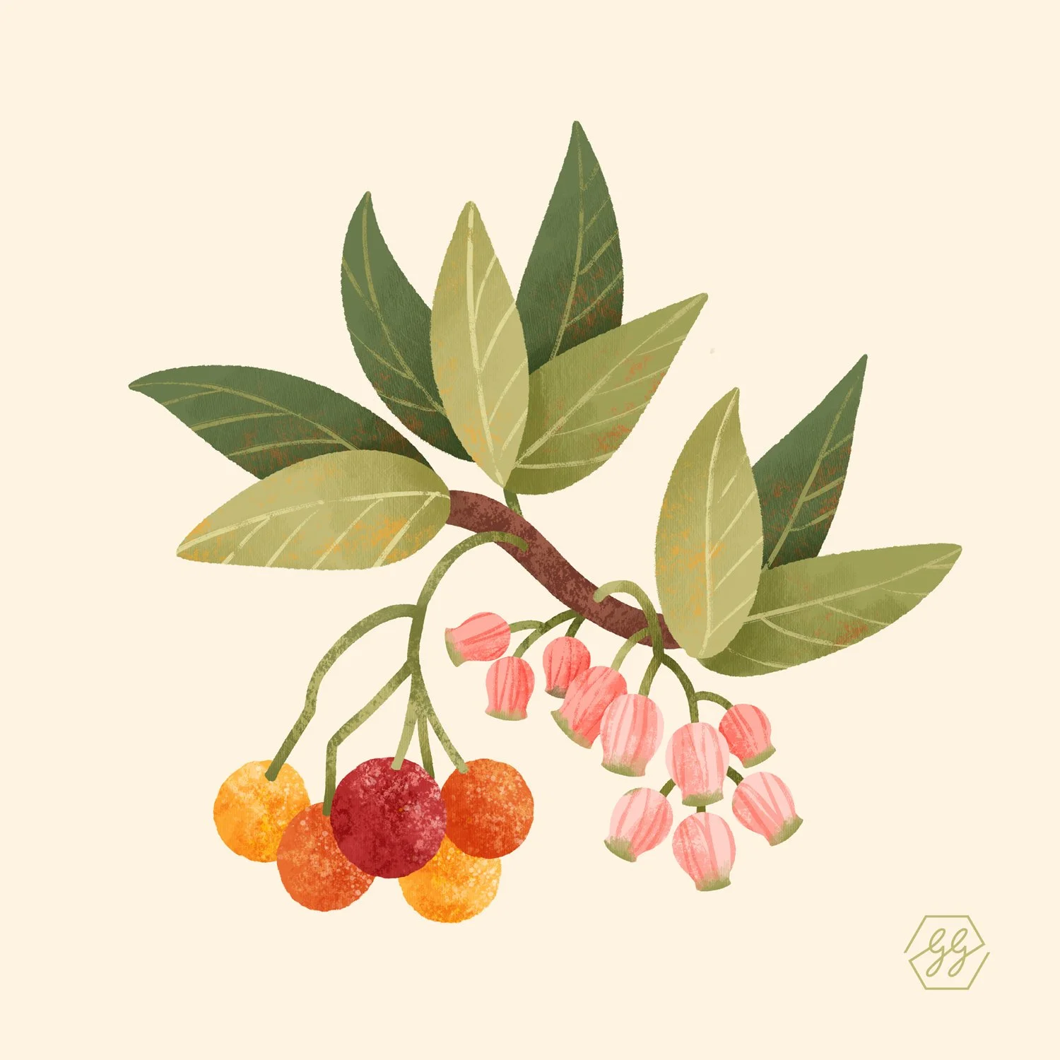 gg-arbutus.jpg