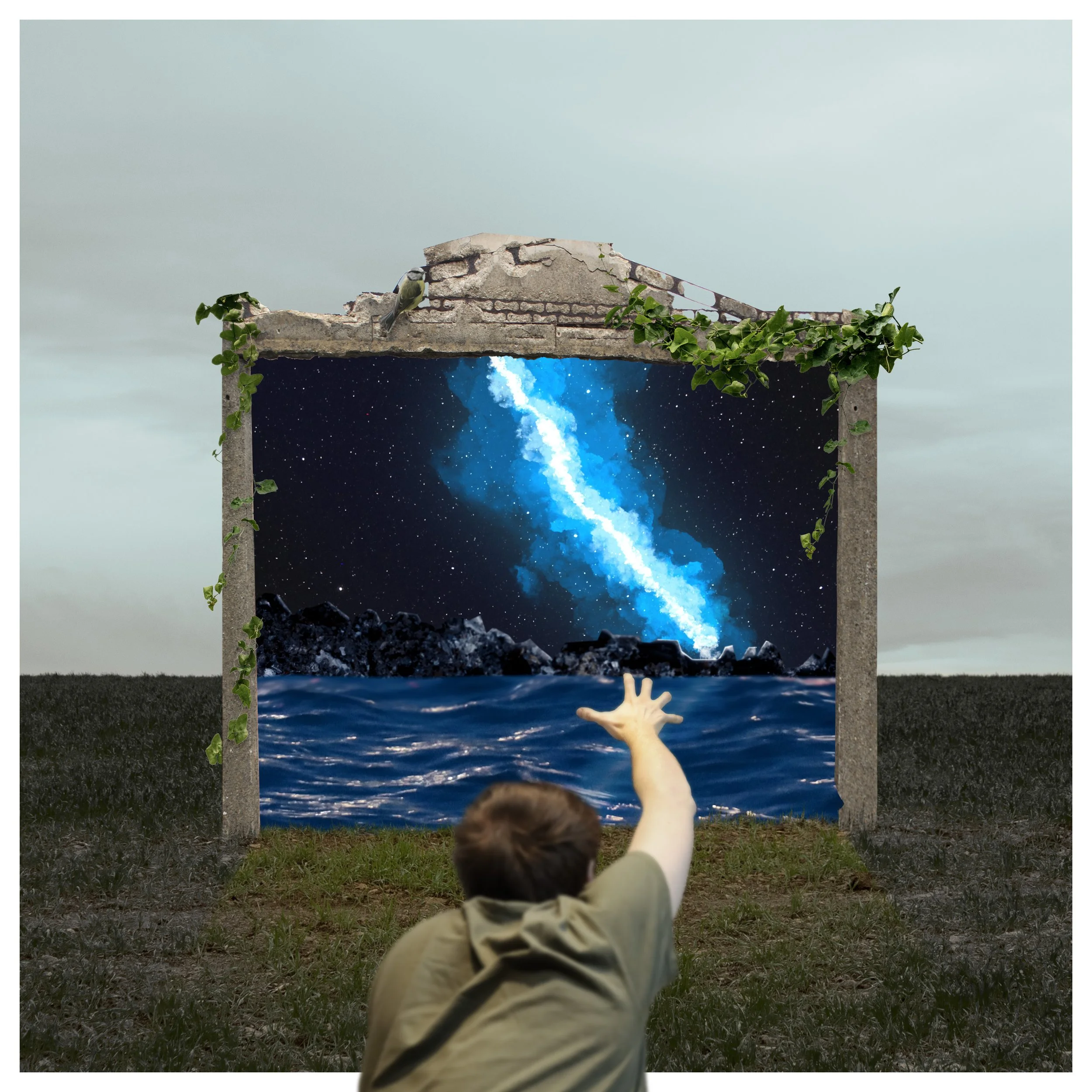 the exhausting crawl back to wonderland.jpg