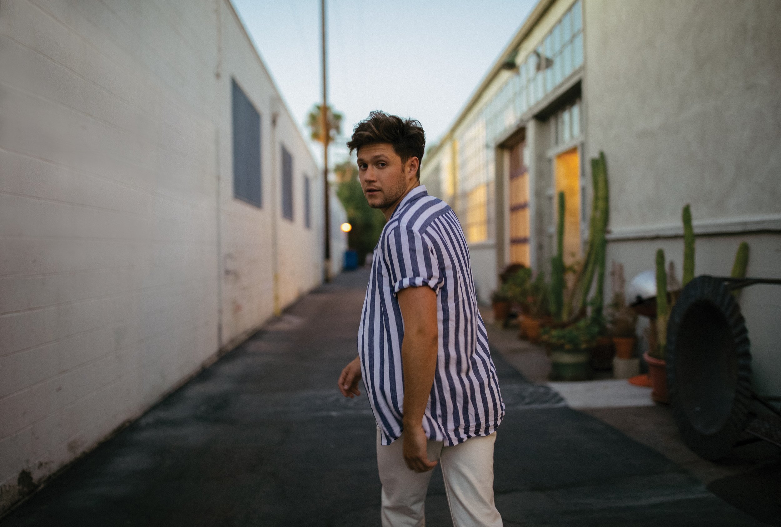 Niall Horan small.jpg