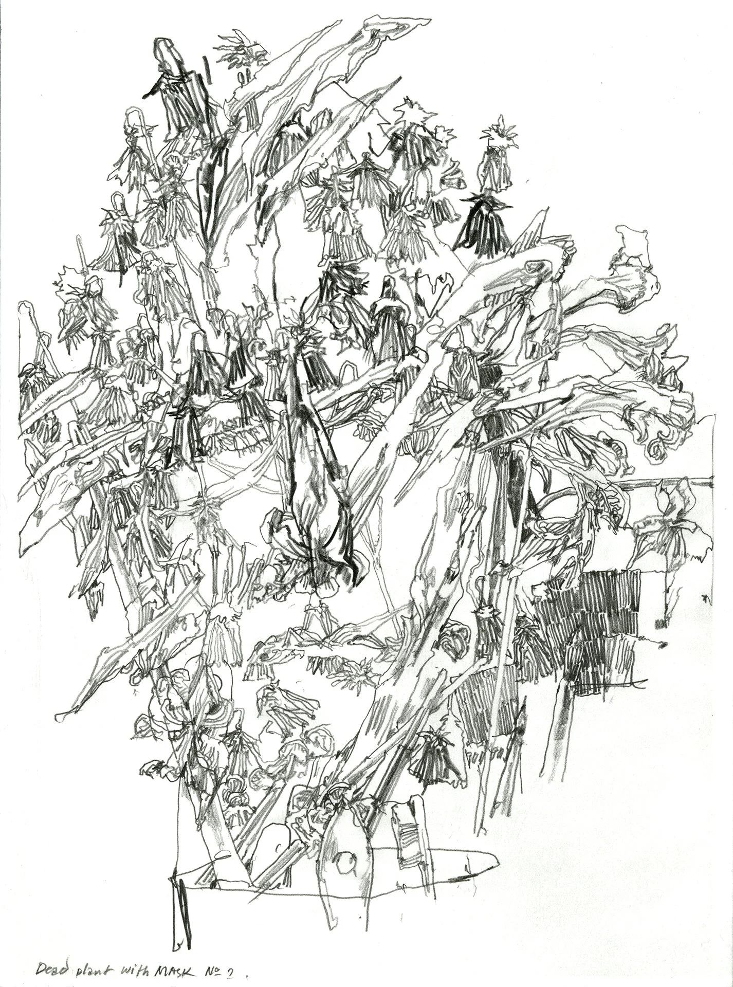 BARRON STOREY  DEAD PLANT WITH MASK NO. 2  Graphite on paper 12 x 9 inches  $800   INQUIRE →