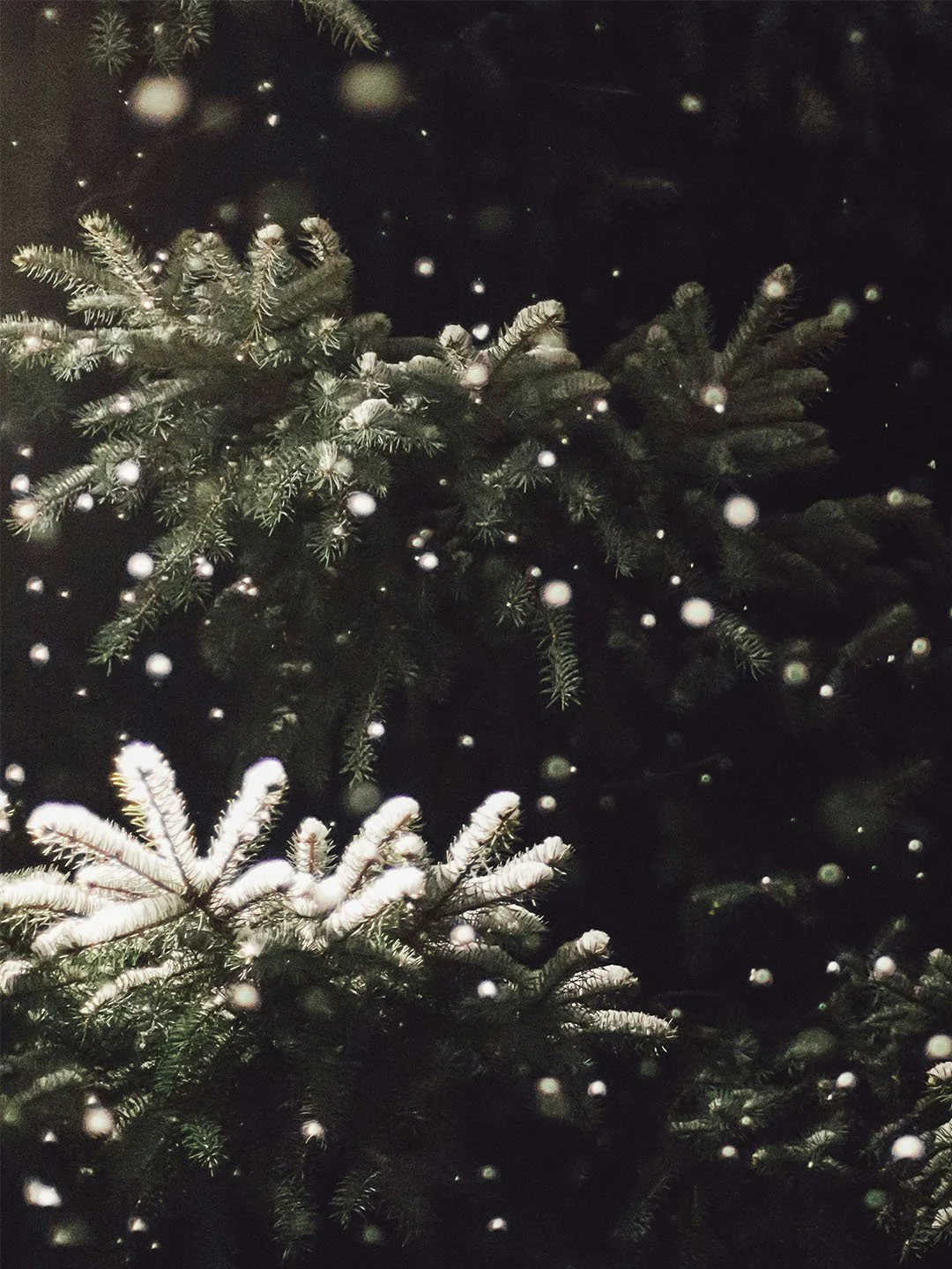 Intentional Hearts, Extraordinary Christmas