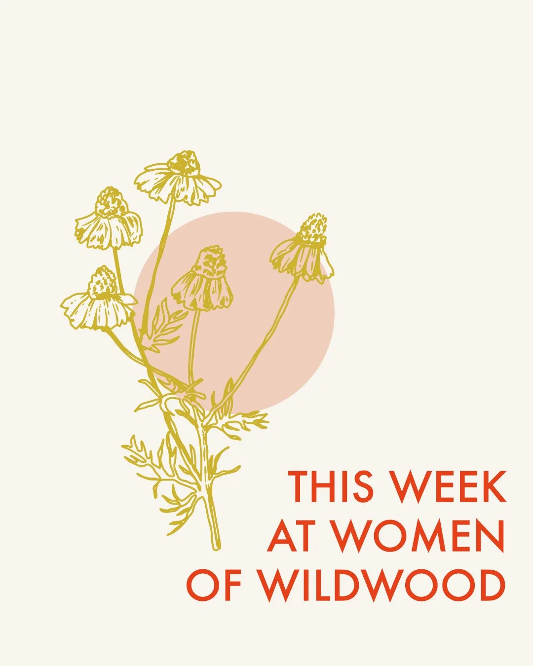 This week at Women of Wildwood: 

*This week, at our Women's study, we will continue in the book of James. 

 *Women&rsquo;s Prayer meets every Wednesday at 8:30 am in the foyer. Come and intercede for the needs of our church family.

*Never Alone Mi