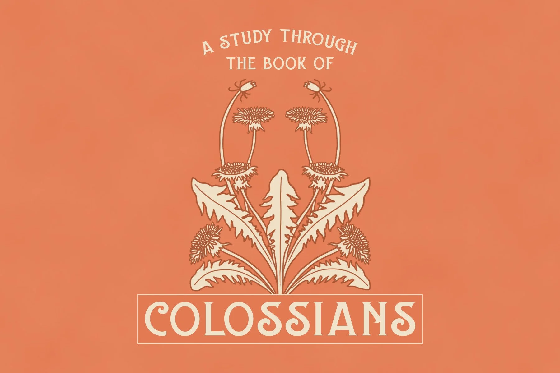 Upcoming Events Women Of Wildwood upcoming-events-women-of-wildwood