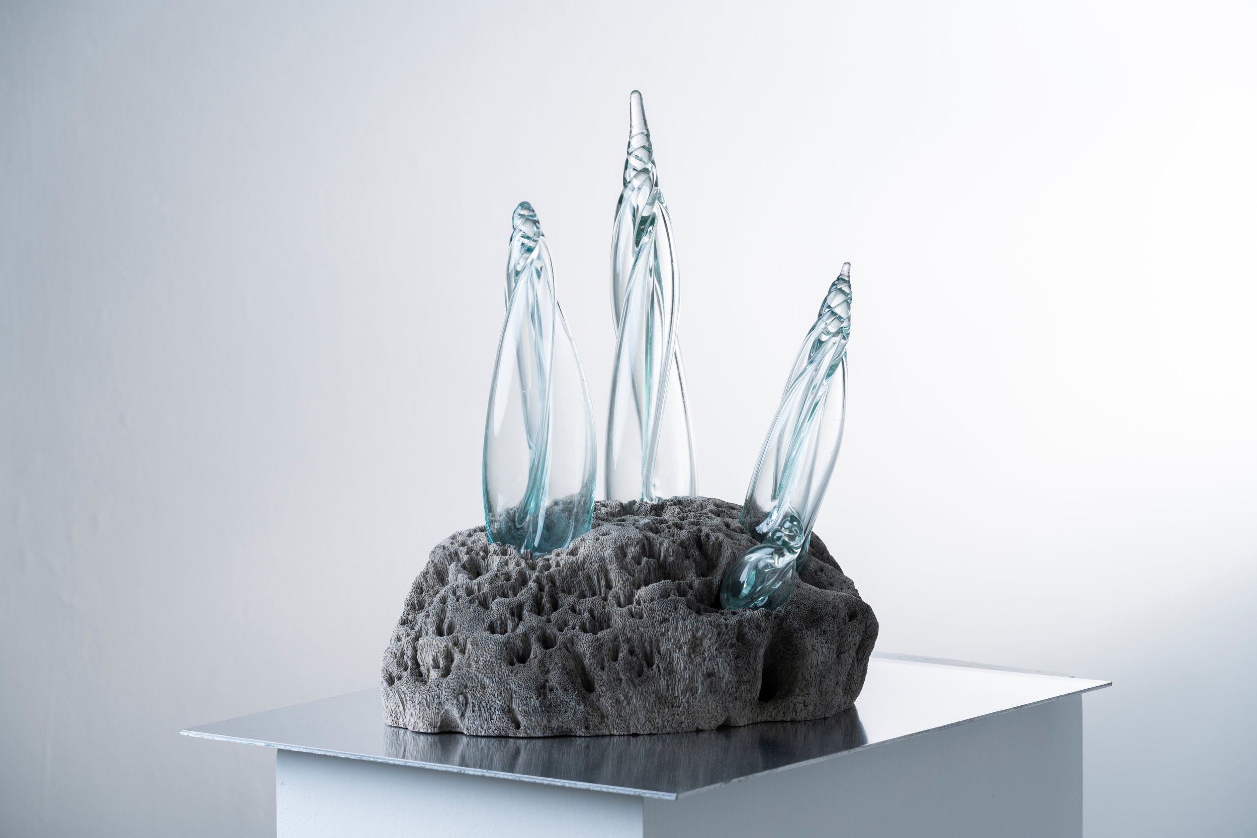 NicoLAB_Noah x La Mancha_5.jpg