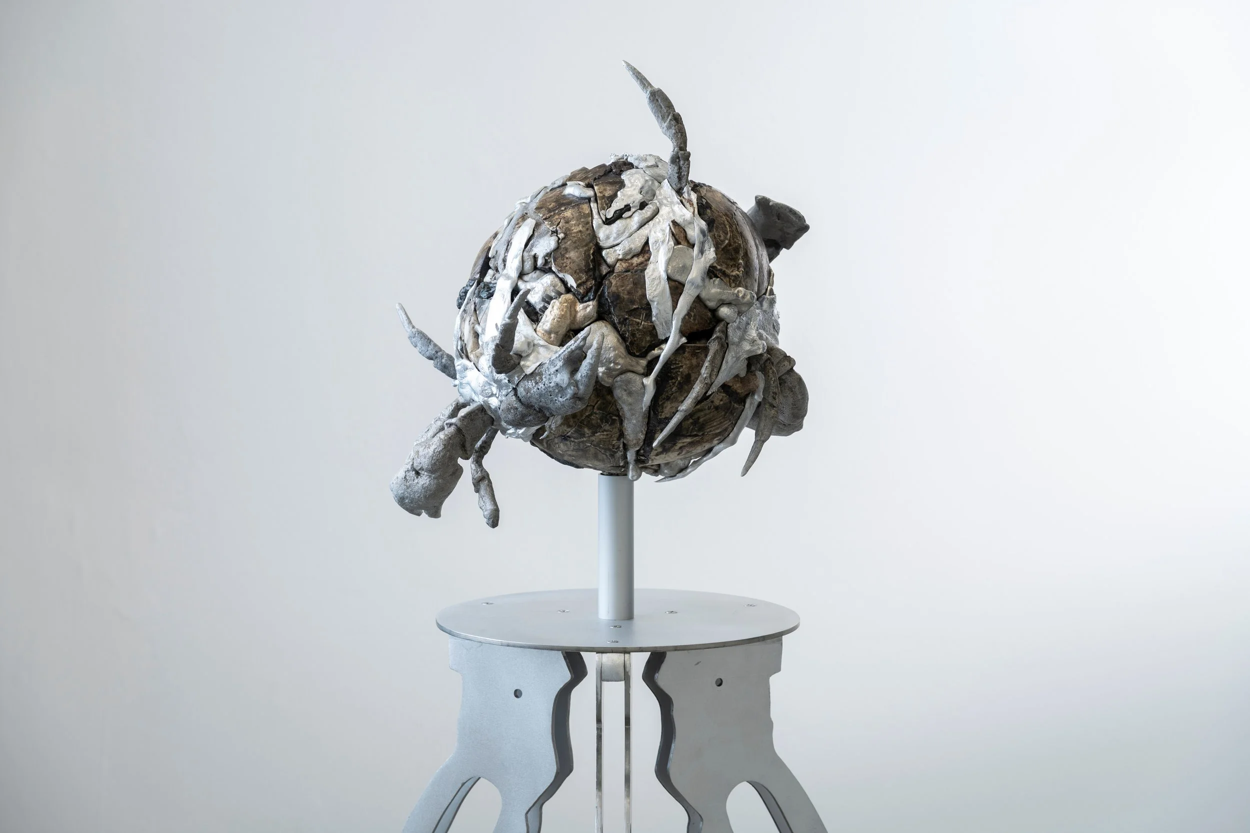 NicoLAB_Noah x La Mancha_7.jpg