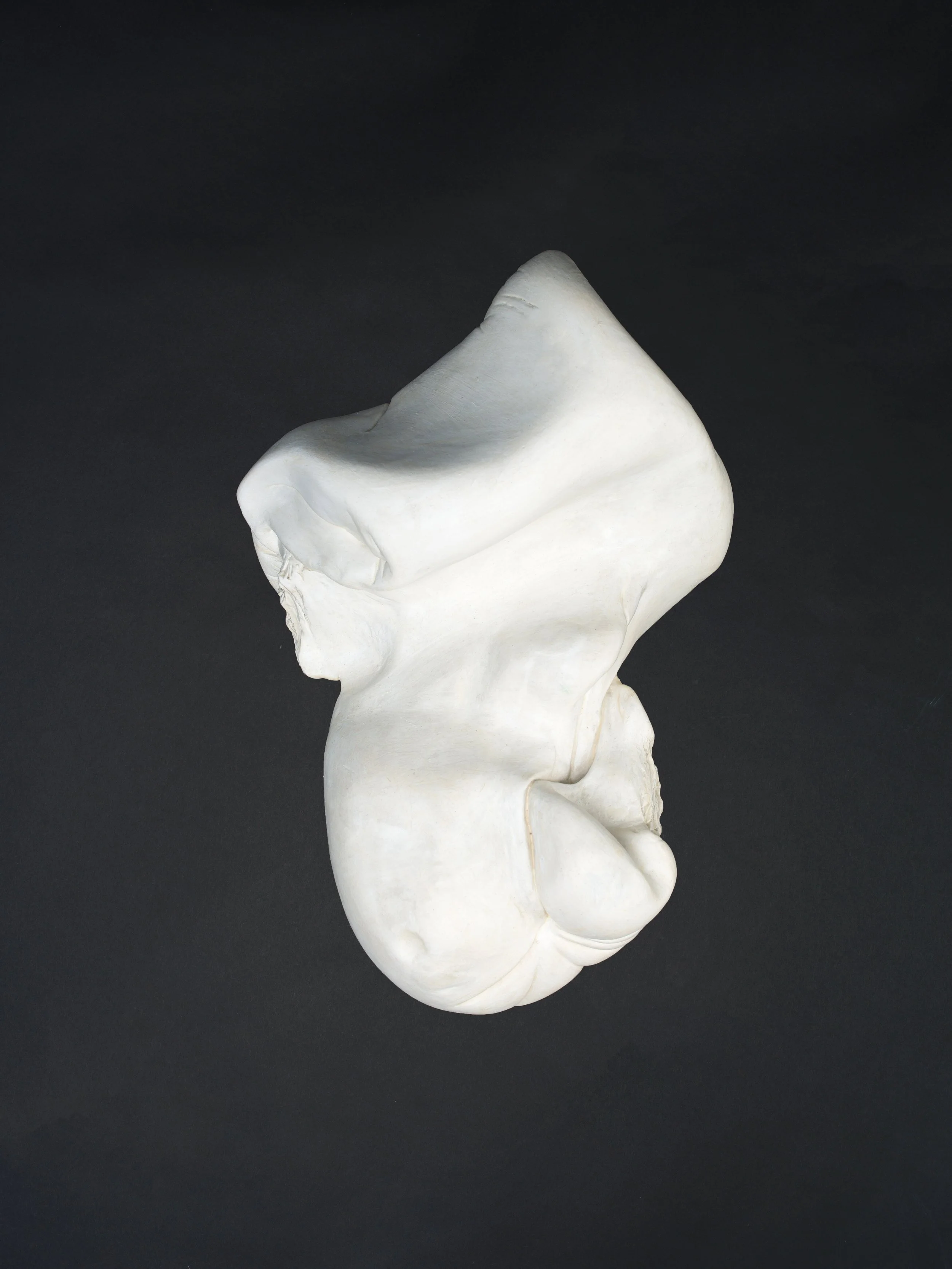 MariaEugeniaMoya_Torso_yeso_60x40x30cm_2018.jpg