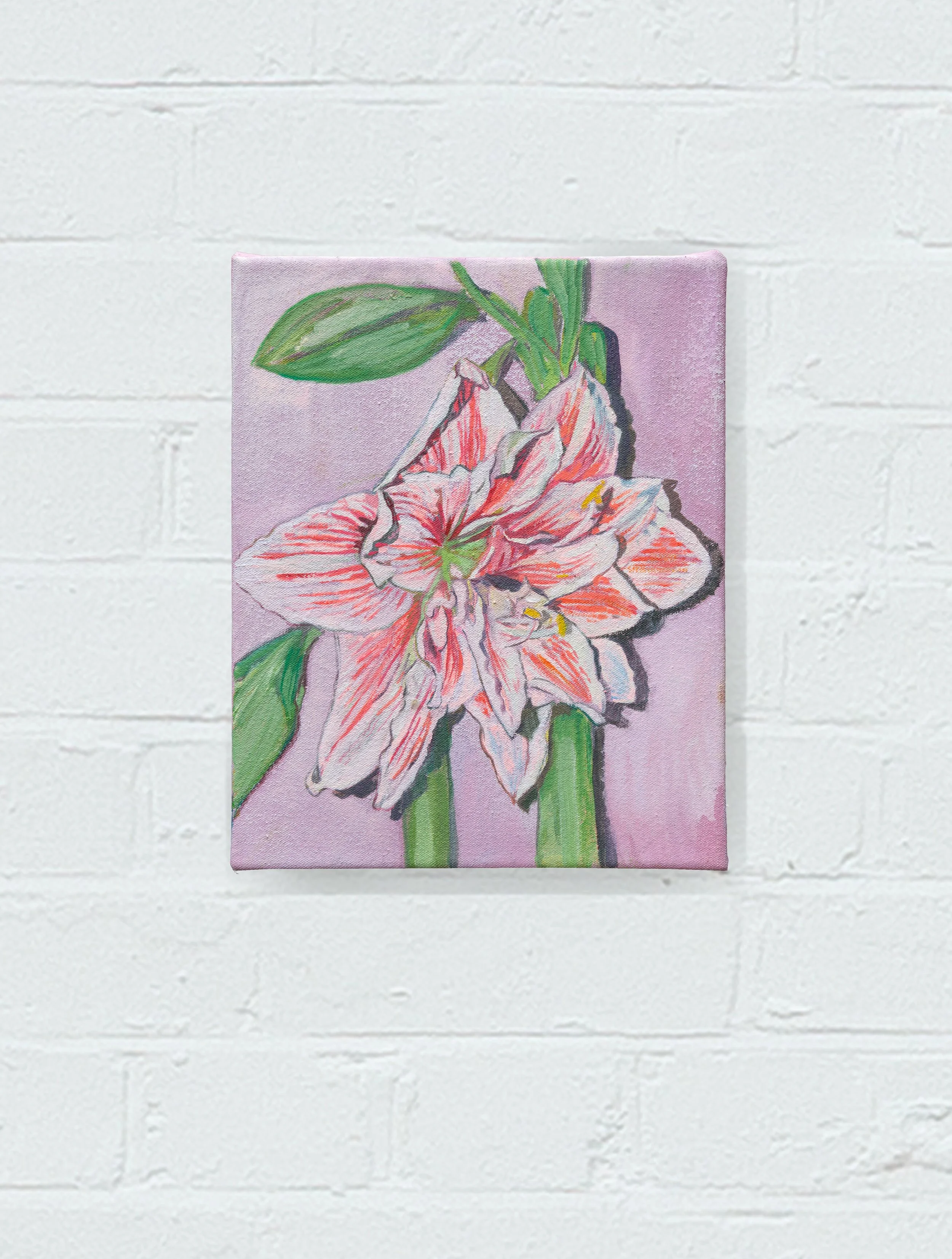 Sophie Baker, 'Night/Amaryllis', 2026, óleo sobre lienzo, 25 x 20 cm