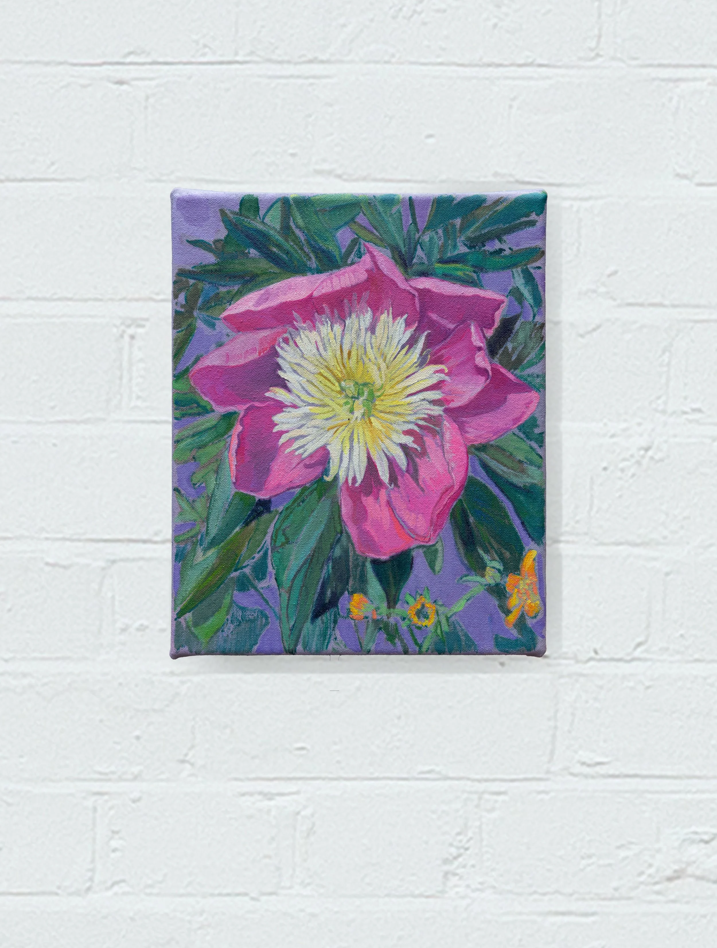 Sophie Baker, 'Morning/Peony', 2026, óleo sobre lienzo, 25 x 20 cm