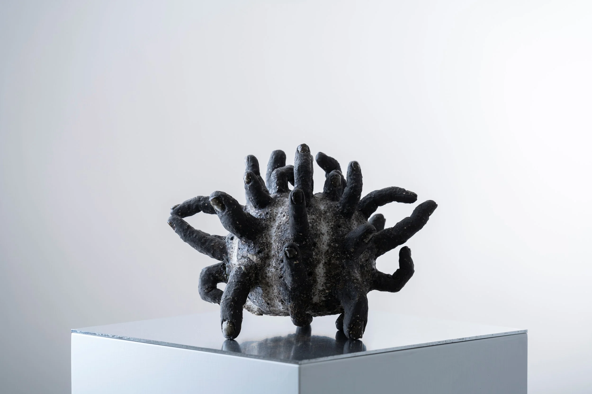 NicoLAB_Noah x La Mancha.jpg