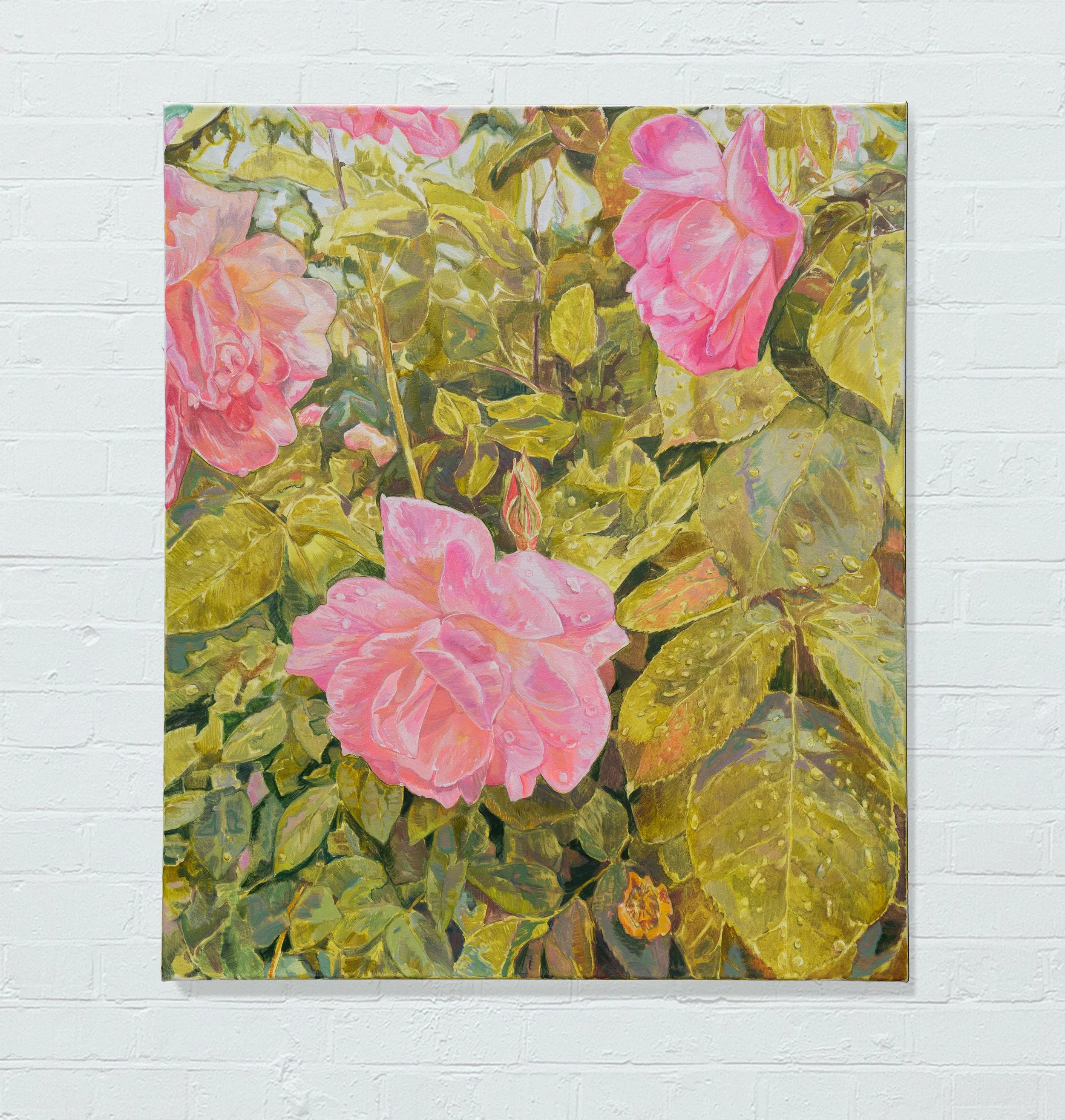 Sophie Baker, 'Plant Portrait (Rainfall and Roses)', 2026, óleo sobre lienzo, 100 x 85 cm
