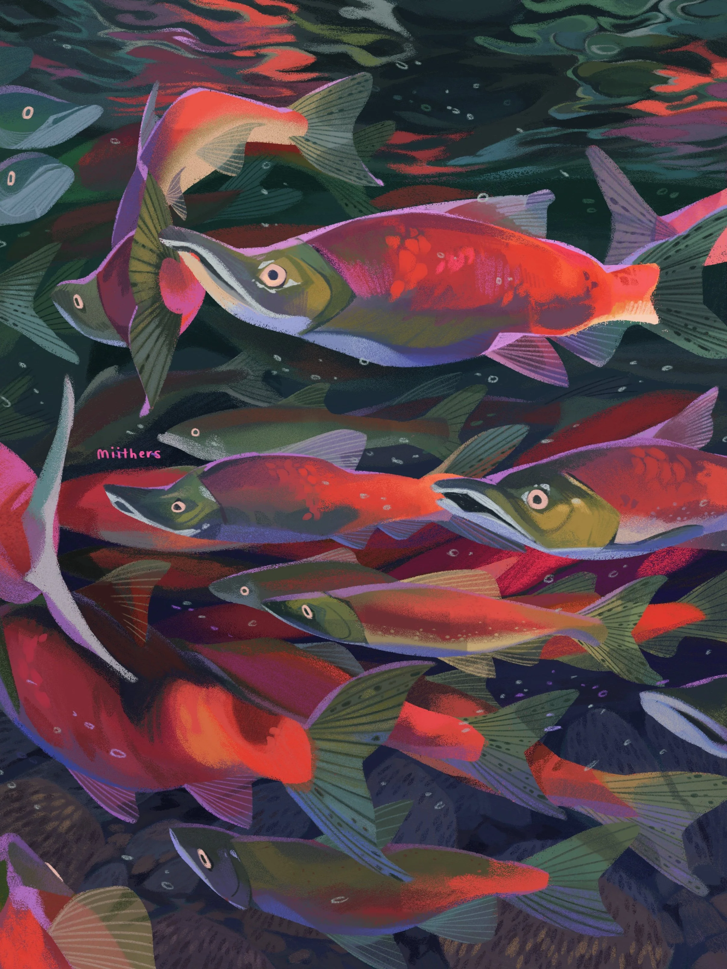 fish fish fish fish.jpg