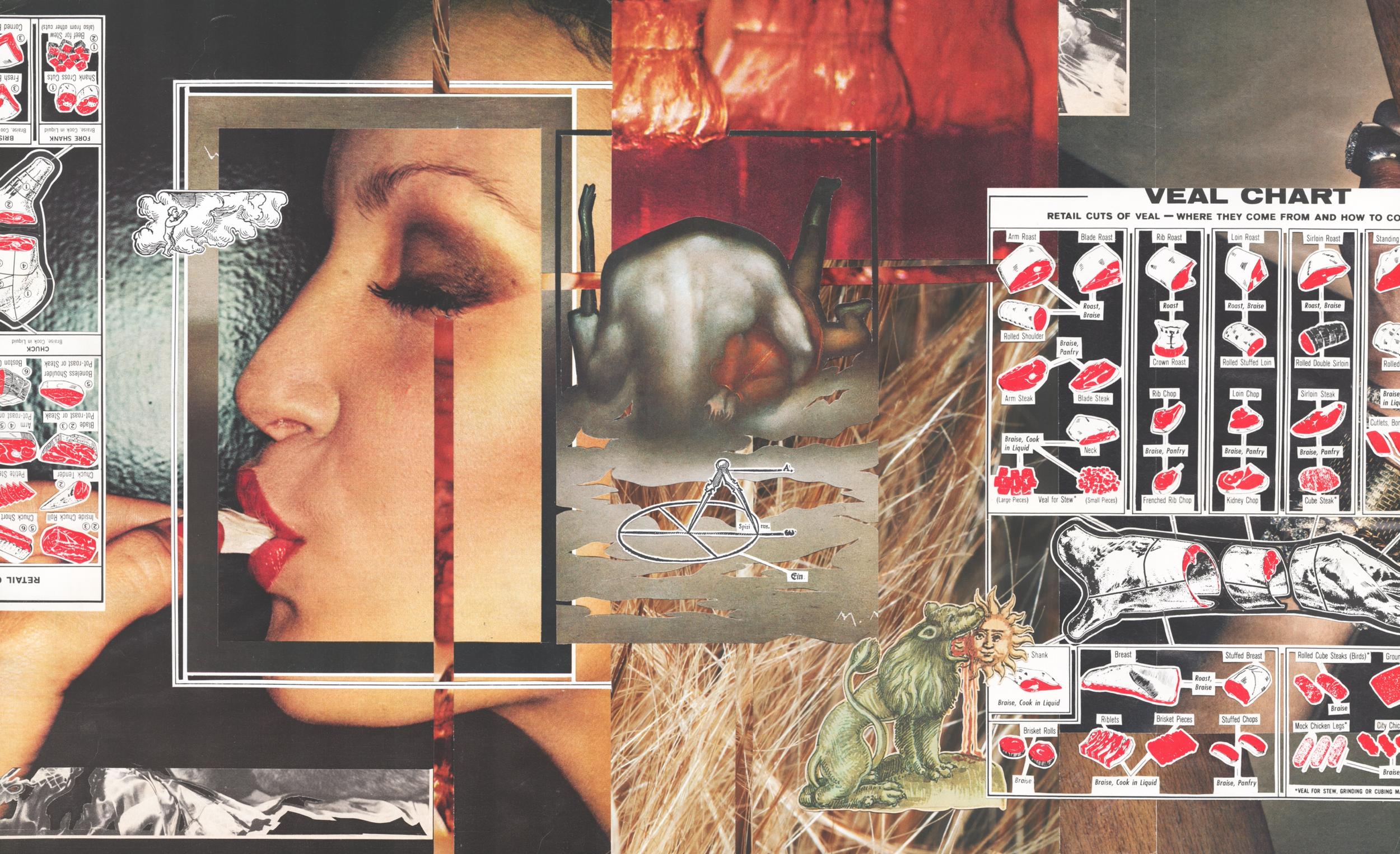 JRD_26Q3Website_SP6_MeatL.png