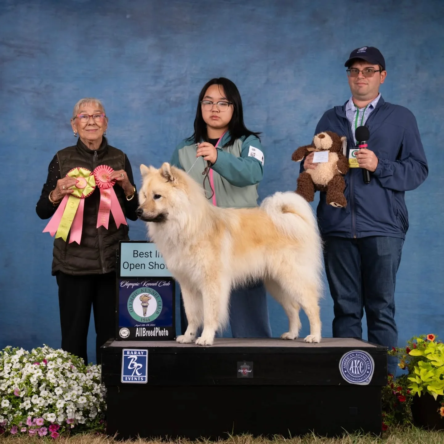 To say that we're pleased would be an understatement - we're ecstatic that Leif won his first ever Best in Open Show yesterday at the Olympic Kennel Club 🤩!

He was such a good lil bug and showed so nicely with his human - I'm so proud of the two of