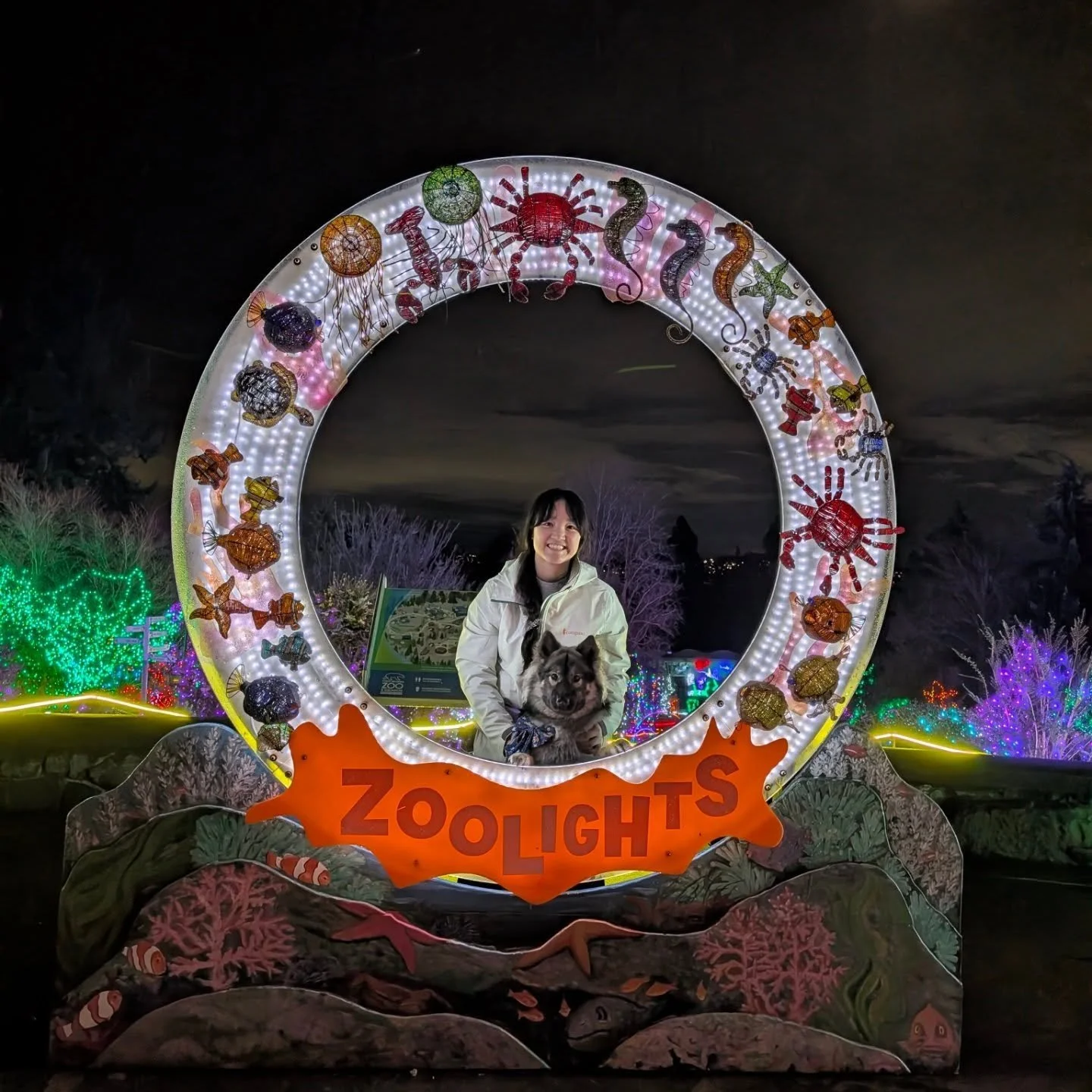 Take your puppy to see the Zoolights with her friend on the very last day, 10/10 experience because it's pretty much empty and she won't actually care about the lights because she'll be sniffing all the shrubs and leaves instead 👍🏻.

🫶🏻 @omgtain 