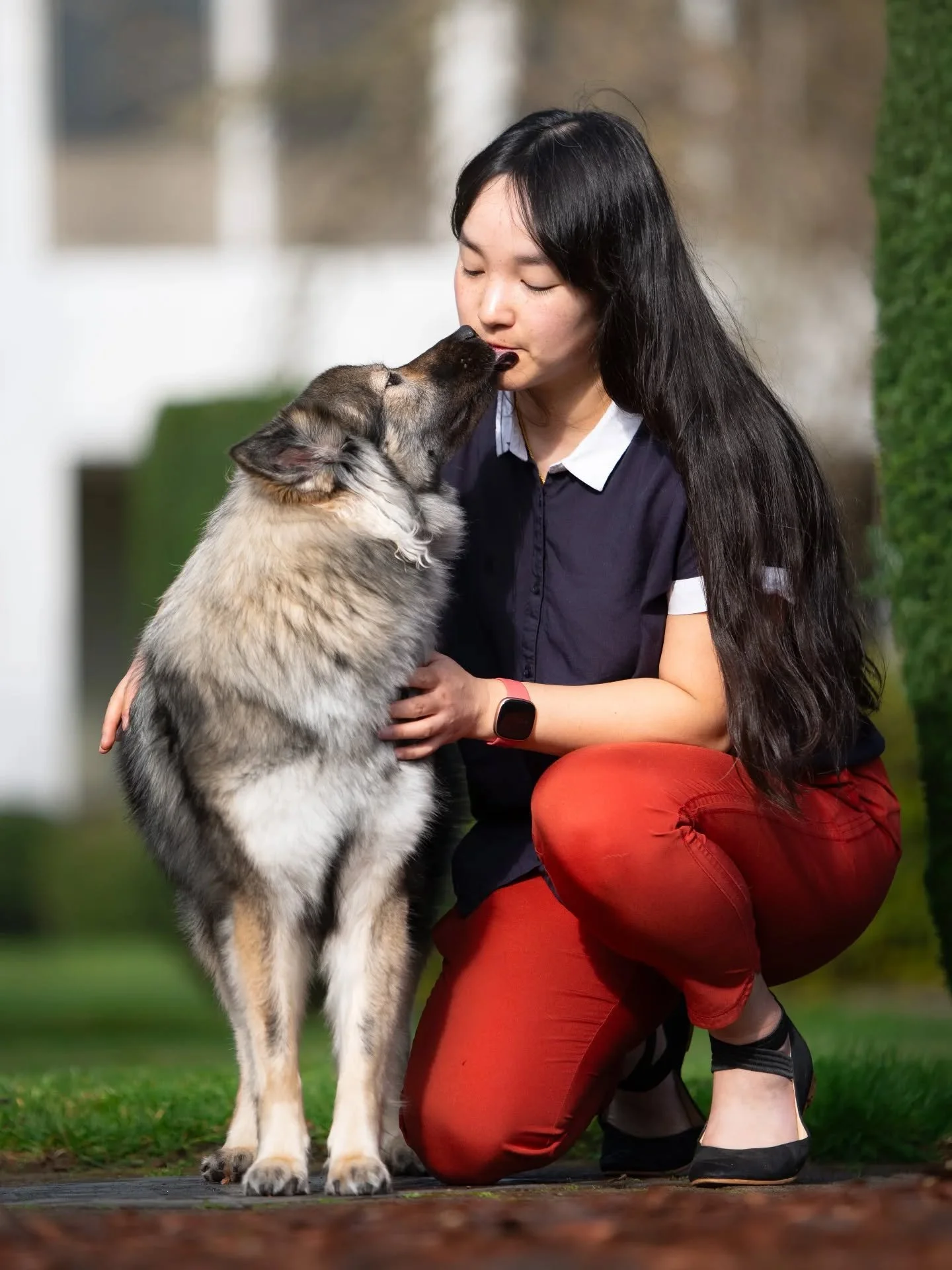 Just a girl and her puppy 🫶🏻

How do I describe this little girly?

She's very much "standard" Eurasier when it comes to people and dogs - sweet and wiggly and playful with her own, but treats strangers like, well, strangers until she get