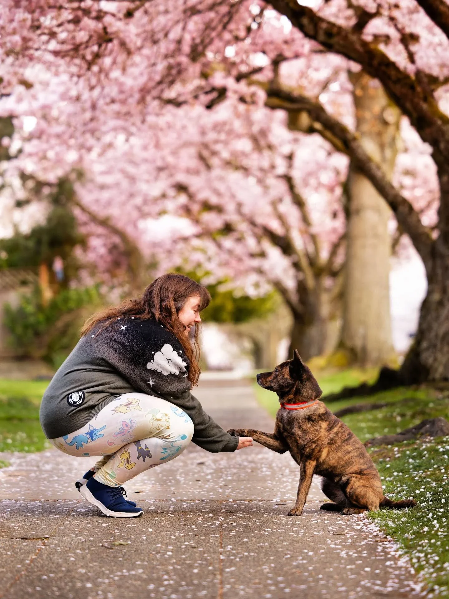 Attempt #5 at 🌸Sakura Szn🌸, this time struggling to figure out my camera settings to get multiple subjects in focus while also not muddying up the background too much. Also, this whole series has been a big learning experience in terms of how to us