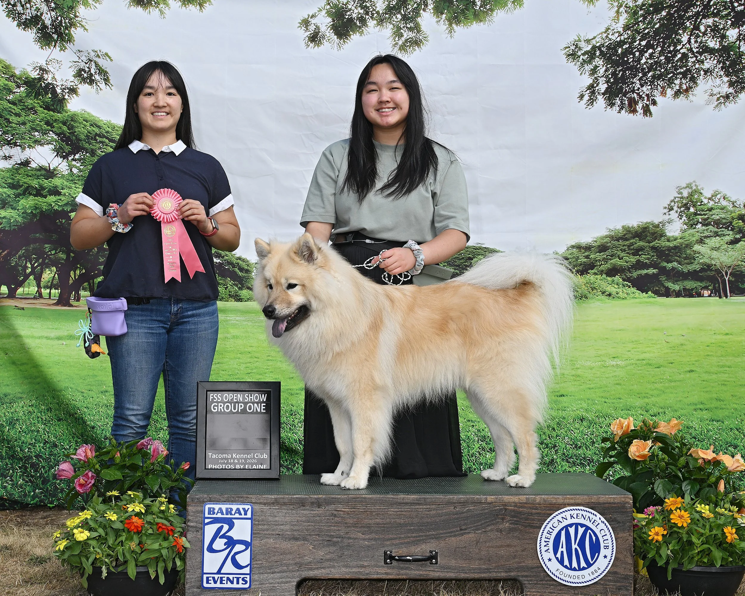 With a group one placement at the Tacoma Kennel Club, placing over 20 other dogs, Leif earned his final points toward his Certificate of Merit!

We are thoroughly exhausted after this weekend. Leif is more pet than show dog, and his human does this b