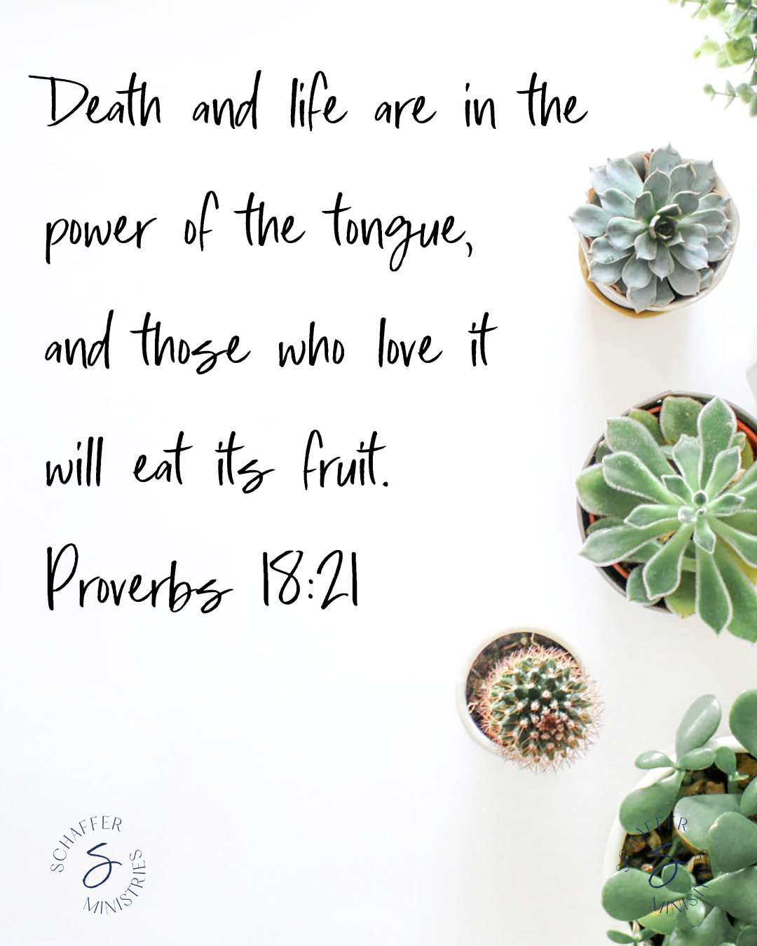 A Miracle In Your Mouth
