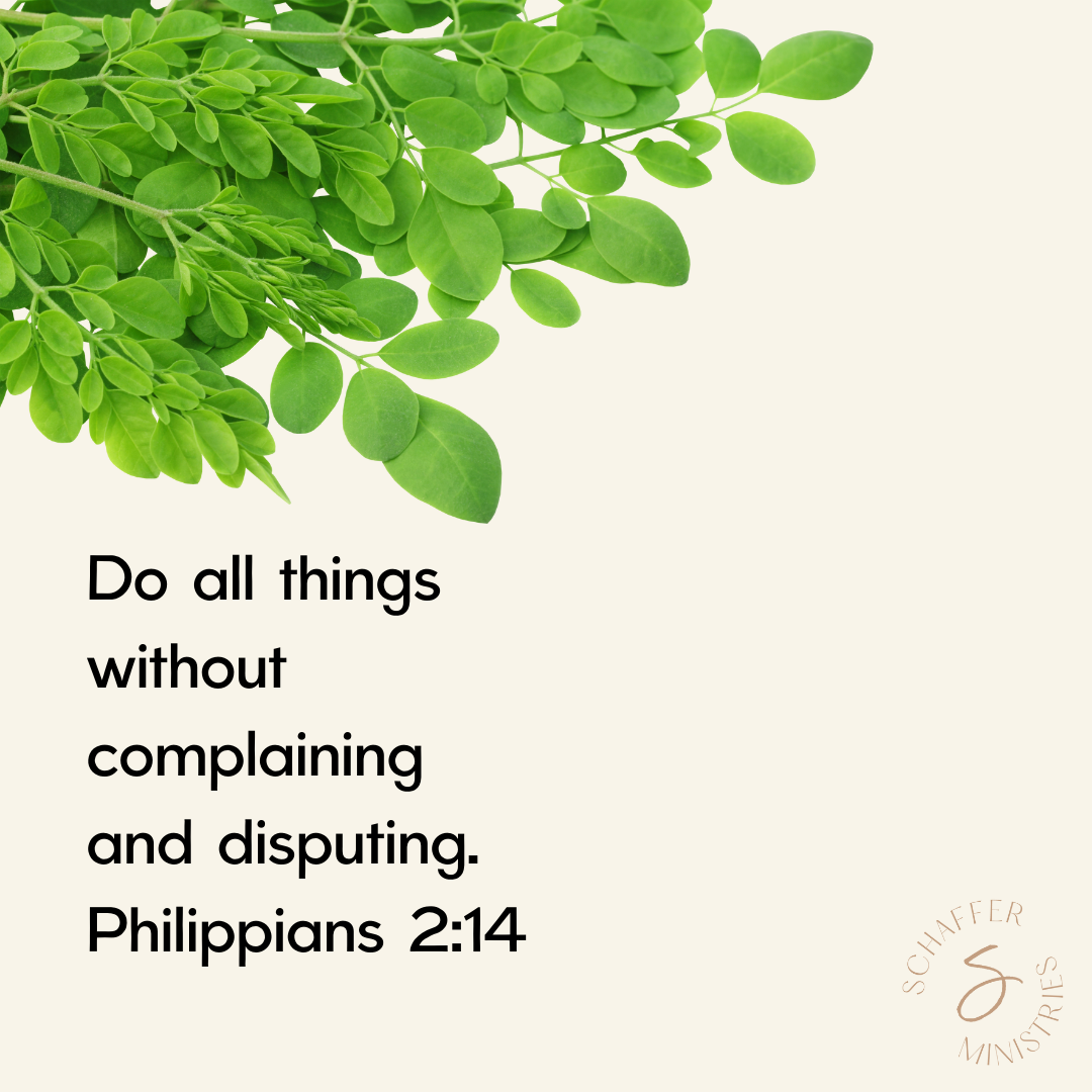 Don't Complain