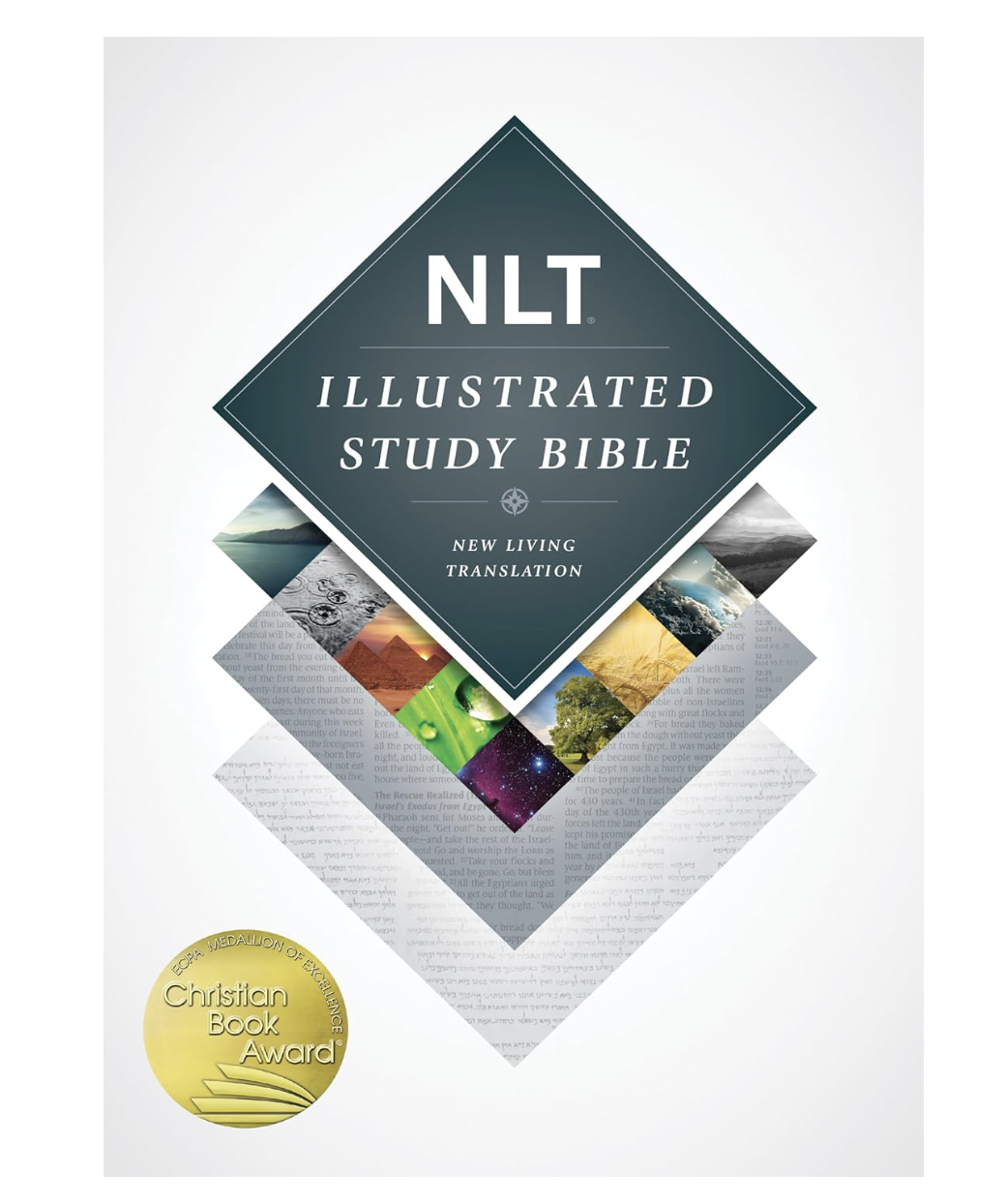 Illustrated Study Bible NLT (Hardcover)