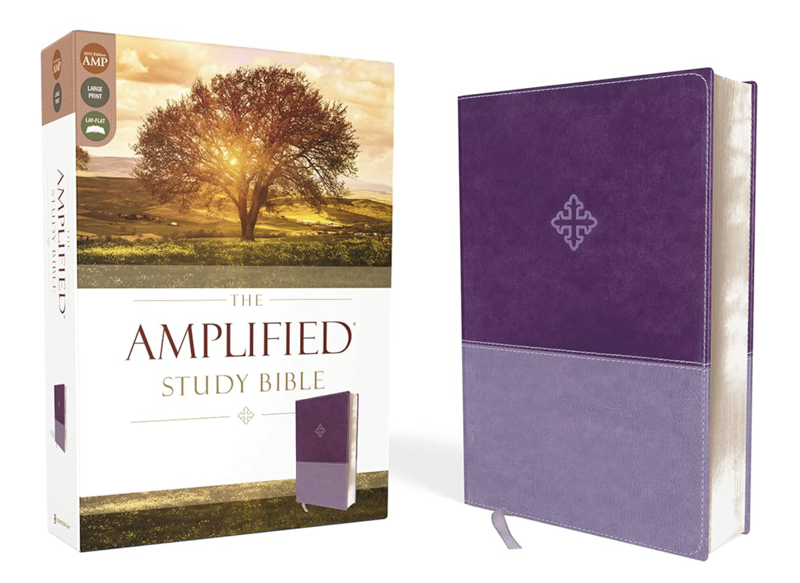 The Amplified Study Bible, Leathersoft, Purple