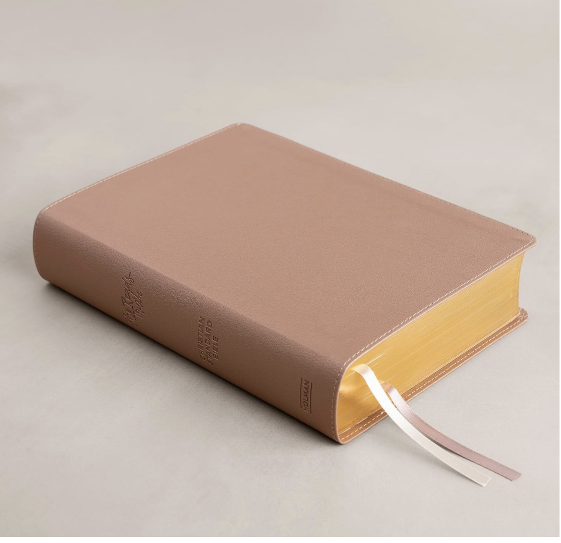 CSB She Reads Truth Bible, Rose Gold LeatherTouch, Black Letter, Full-Color Design, Wide Margins, Journaling Space, Devotionals, Reading Plans,...