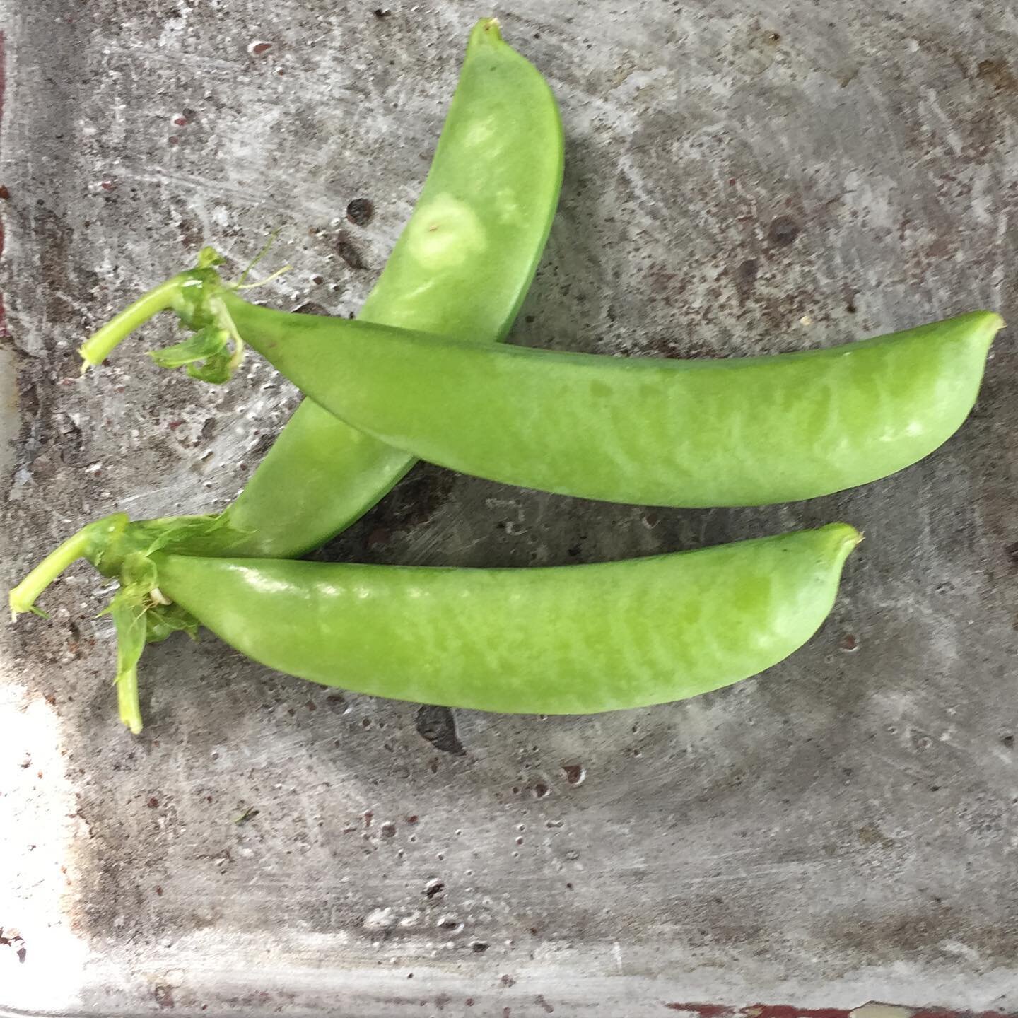 Give Pea&rsquo;s a Chance