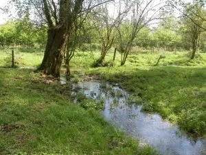 Pareltjes langs het pad: de Broekbeemd
