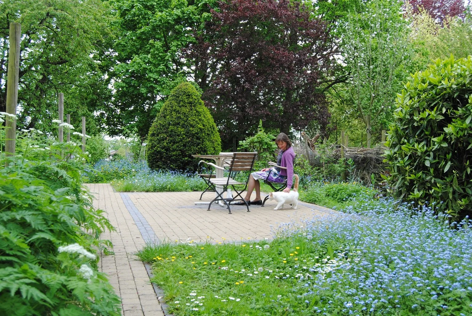 Een vrouw zit uit te rusten op een bankje in de tuin van B&B Het Loonderhof in Borgloon, met een puppy aan haar voeten, omgeven door groene planten en bloemen.