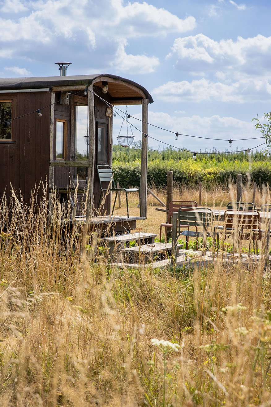 Een kleine houten hut met een veranda, omgeven door bloemrijk gras, met enkele stoelen en een tafel buiten en een lantaarnhanger onder de blauwe lucht.