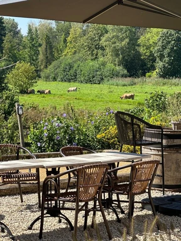 Uitzicht vanaf een terras met tafels en stoelen. Op de achtergrond grasland met koeien en een bos. Het weer is zonnig.