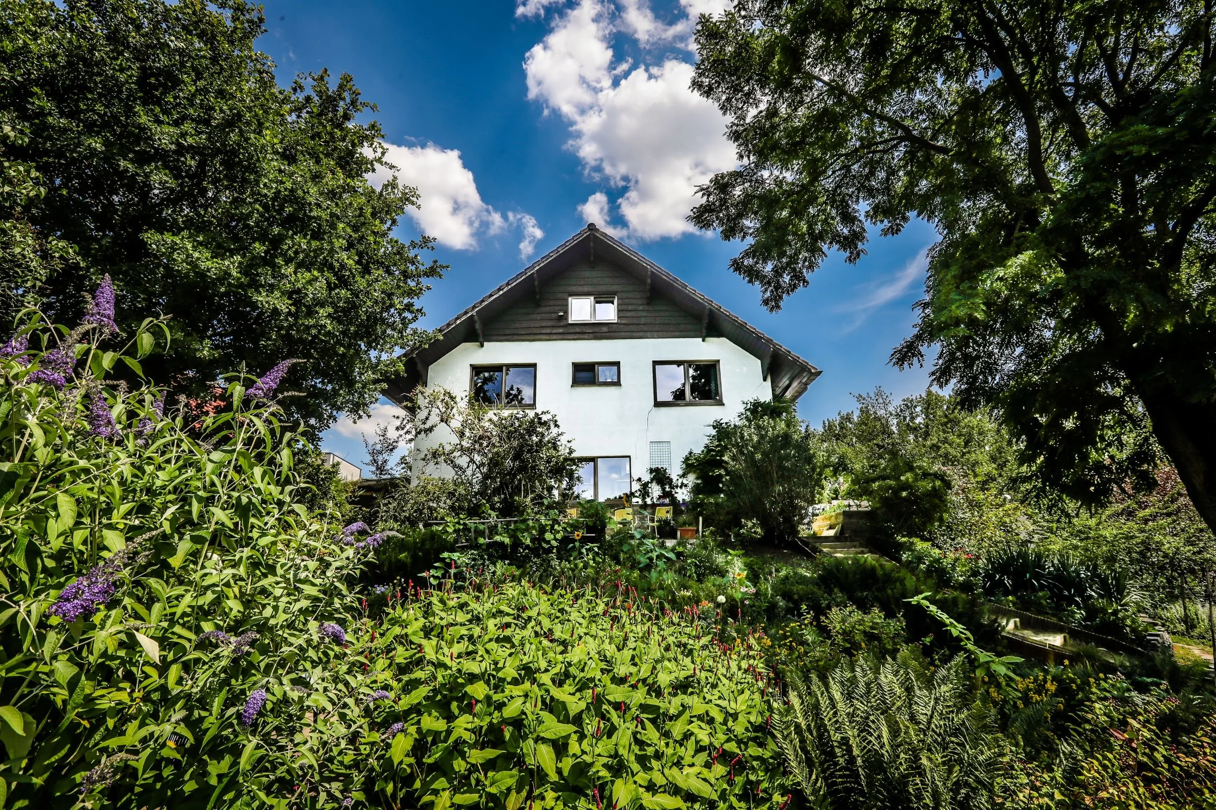 B&B Villa Kakelbont in Borgloon met weelderige bloementuin