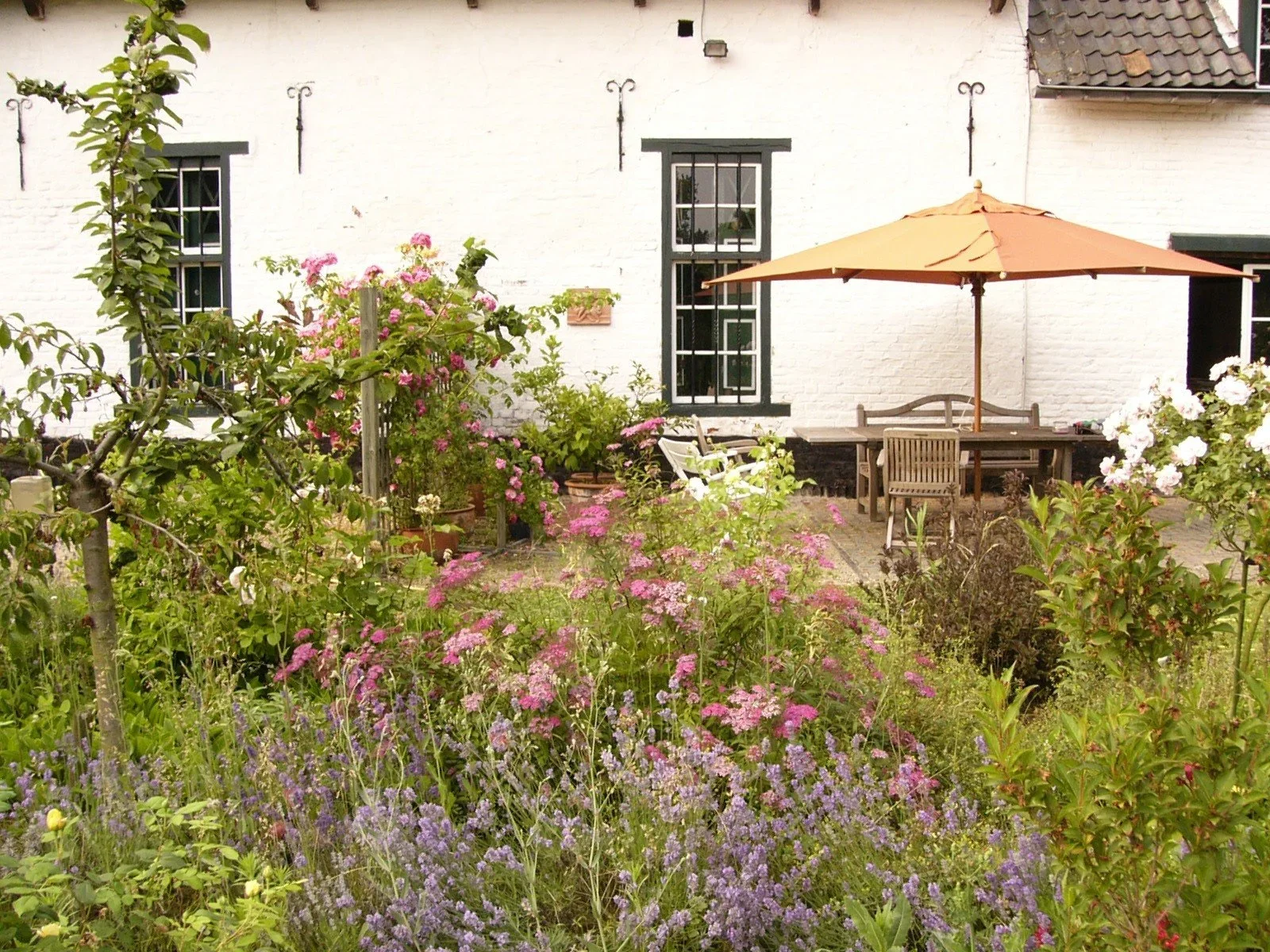 Tuin met bloemen, terras met tafel en stoelen onder een parasol, witte woning op de achtergrond.