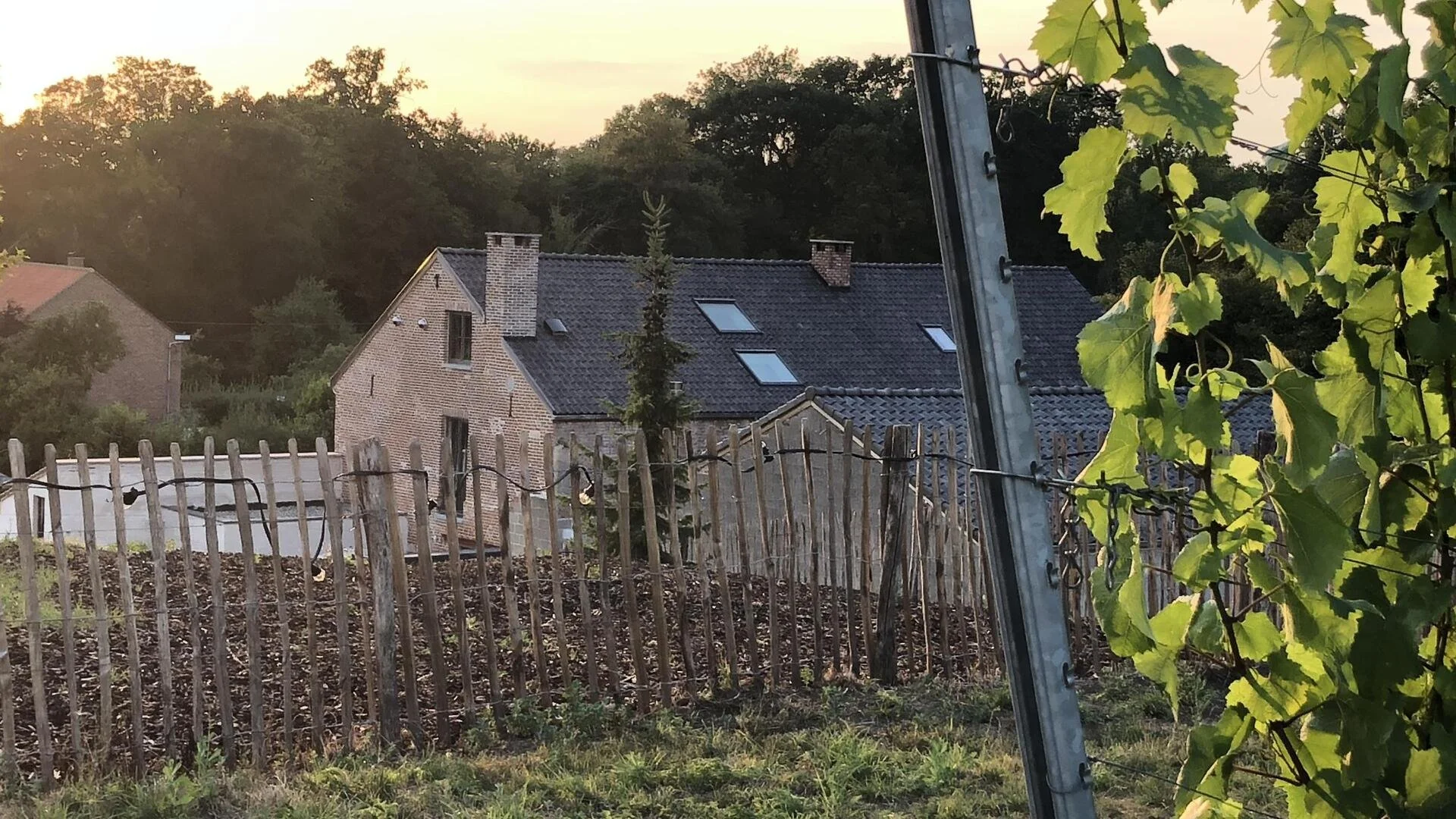 Uitzicht op B&B De Romeinse Katzei, gelegen tussen velden en Haspengouwse boomgaarden, waar pelgrims kunnen overnachten. 
