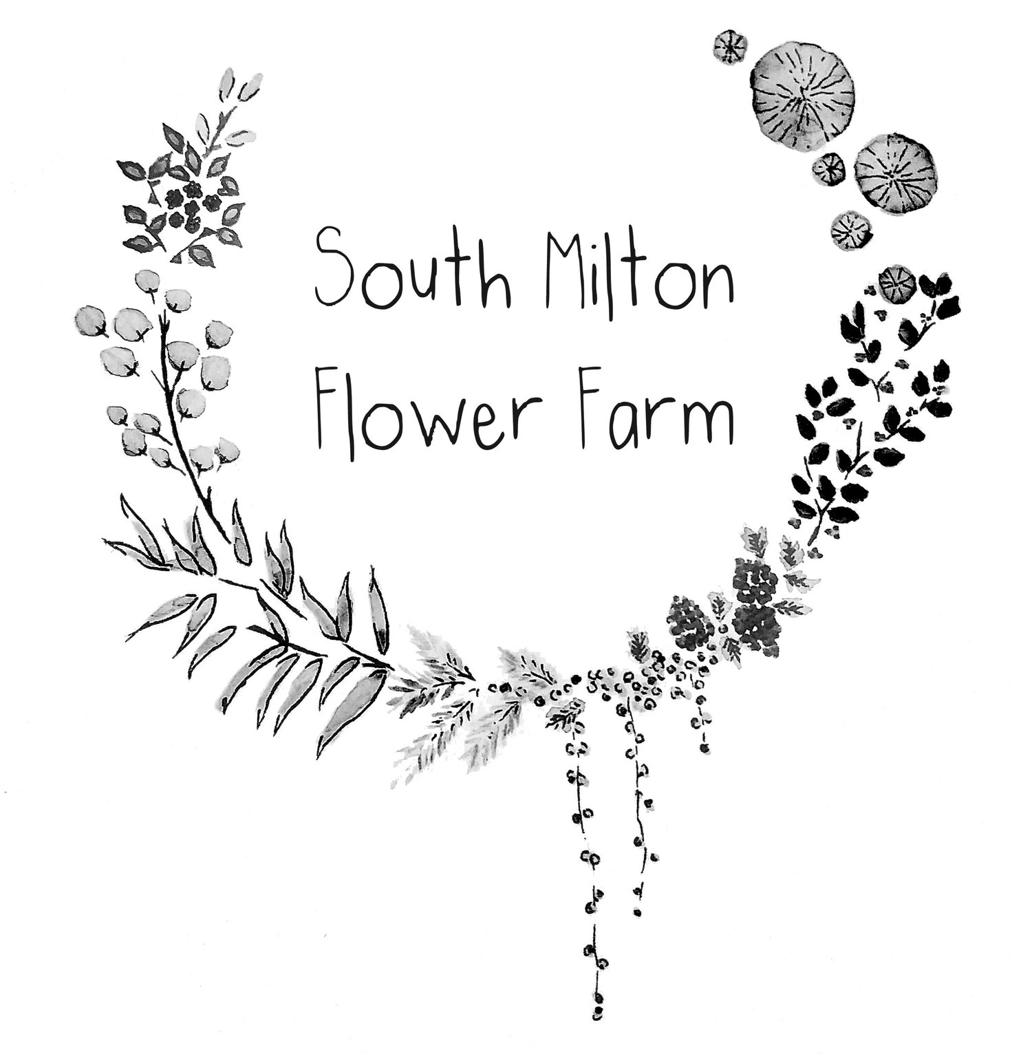 South Milton Flower Farm