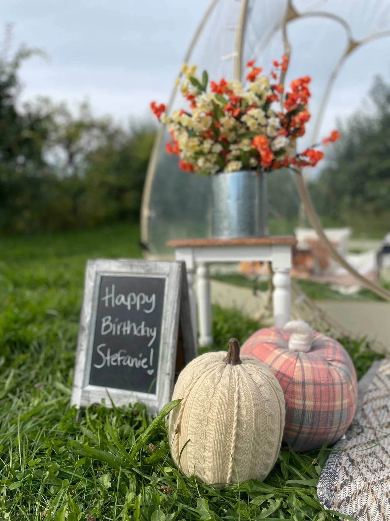 2024-luxury-picnic-fall-pumpkins-birthday.JPG