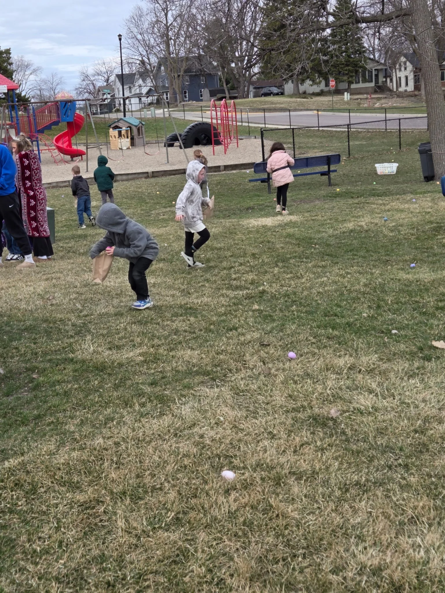 IMG_20260401_145938 (5).jpg