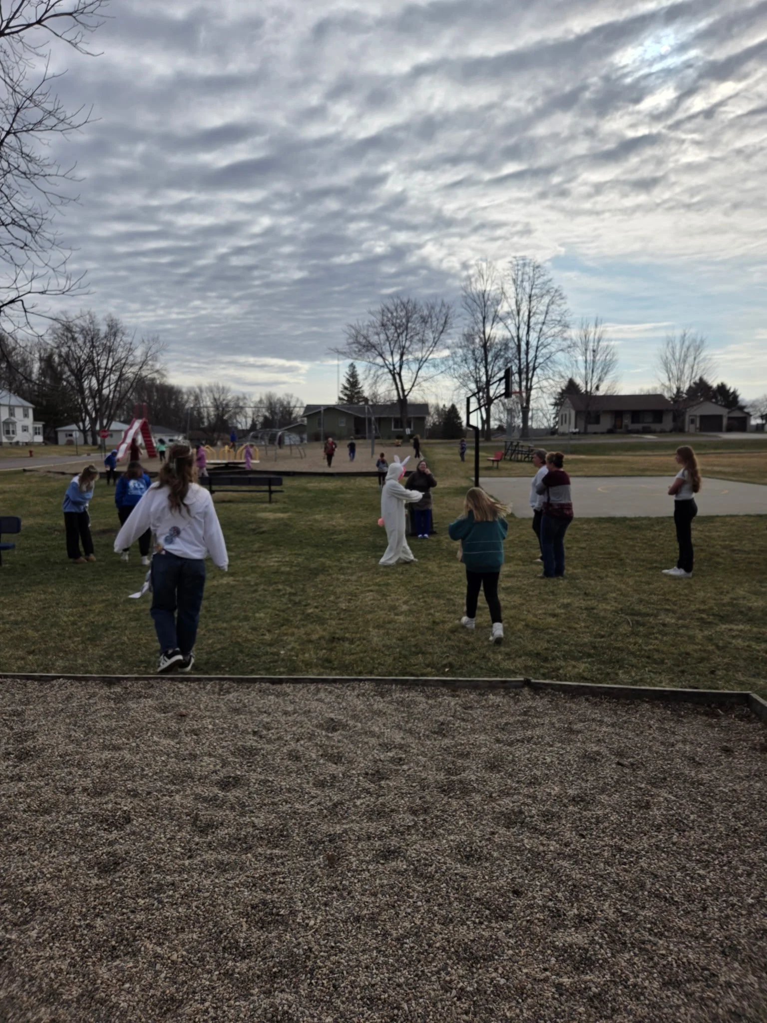 IMG_20260401_145939 (6).jpg