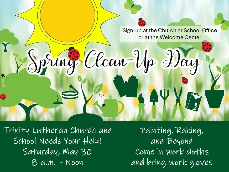 SPRING CLEAN UP