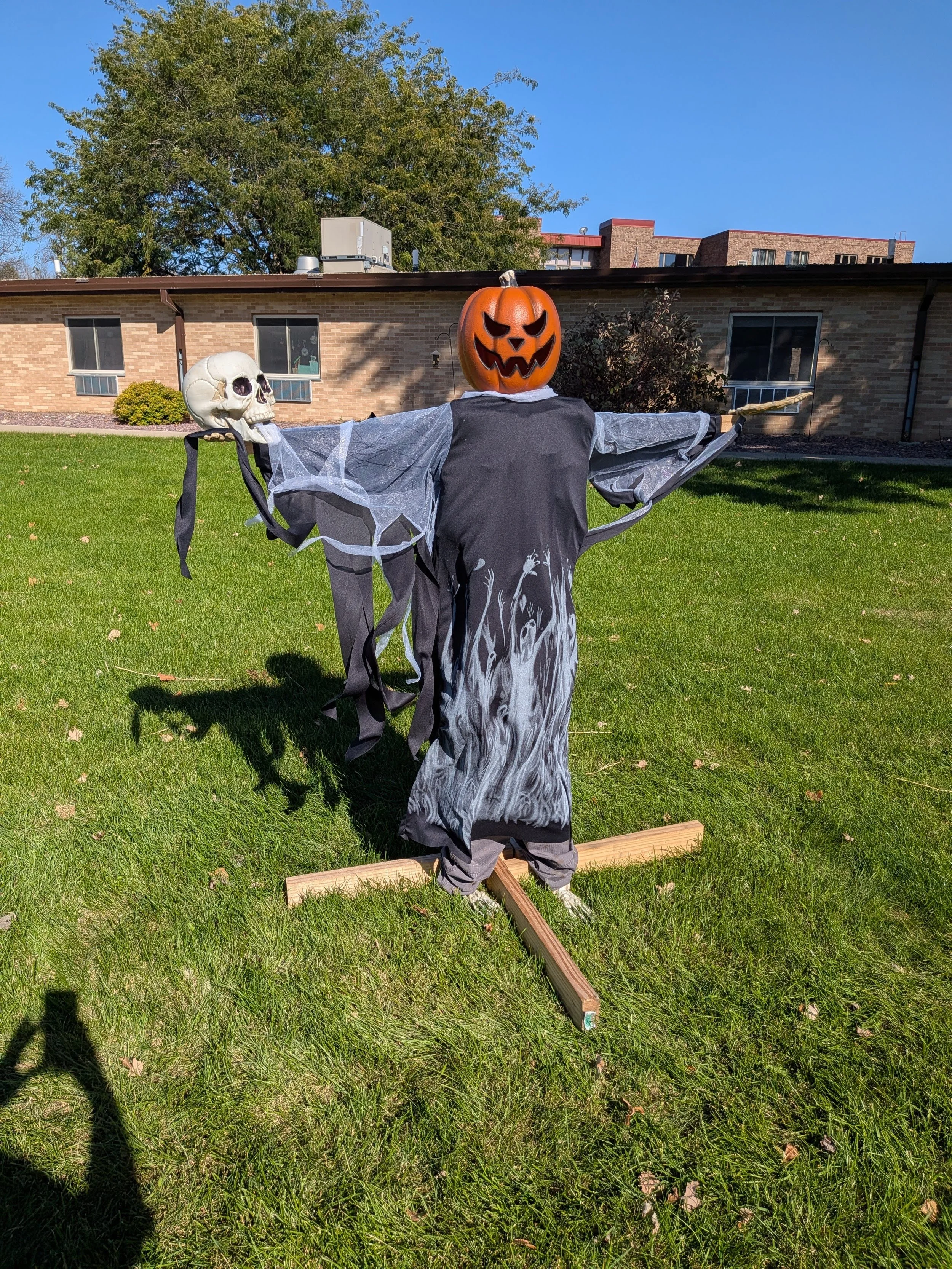PXL_20261020_171353839.jpg