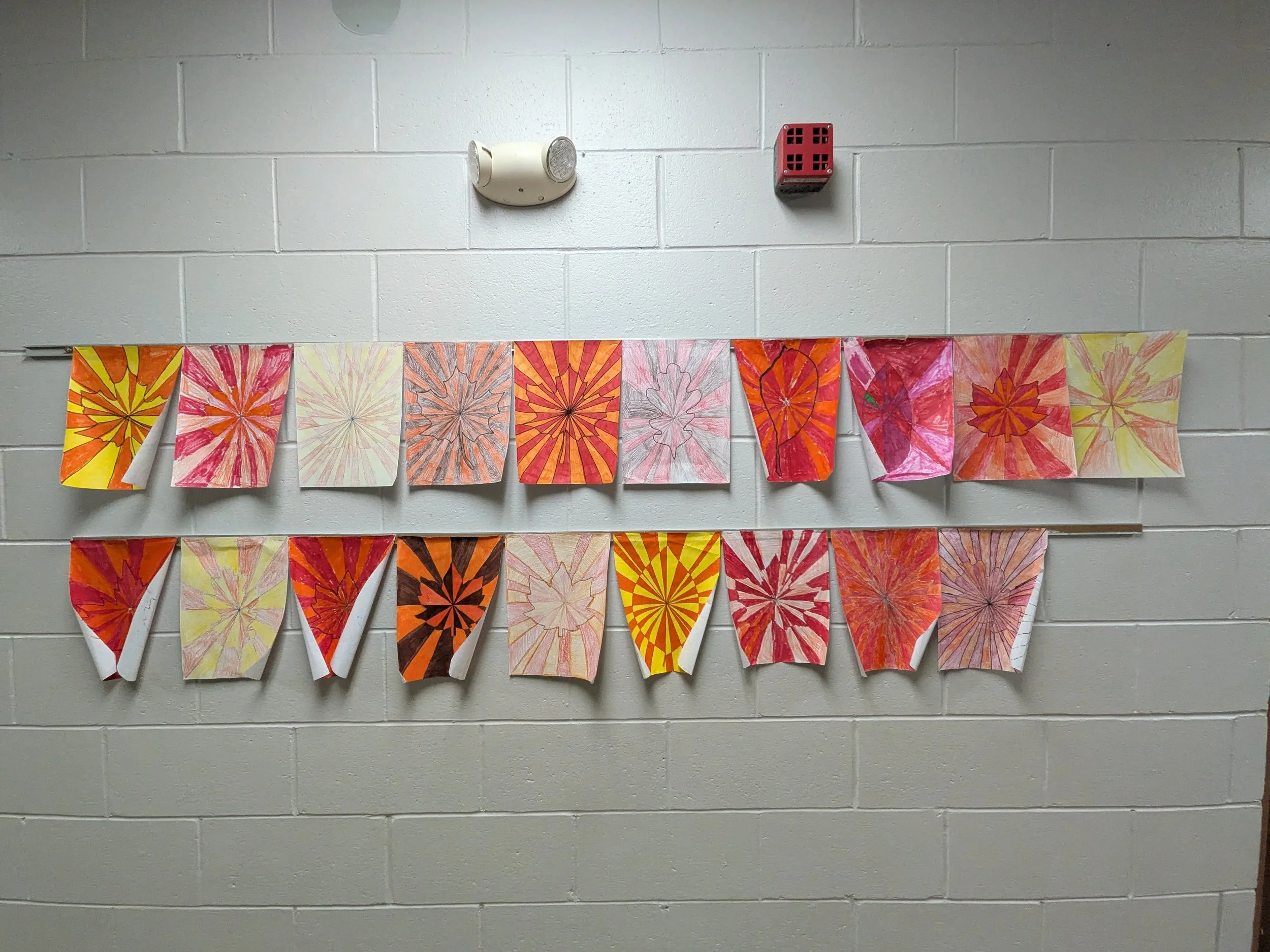 PXL_20261028_182014420.jpg