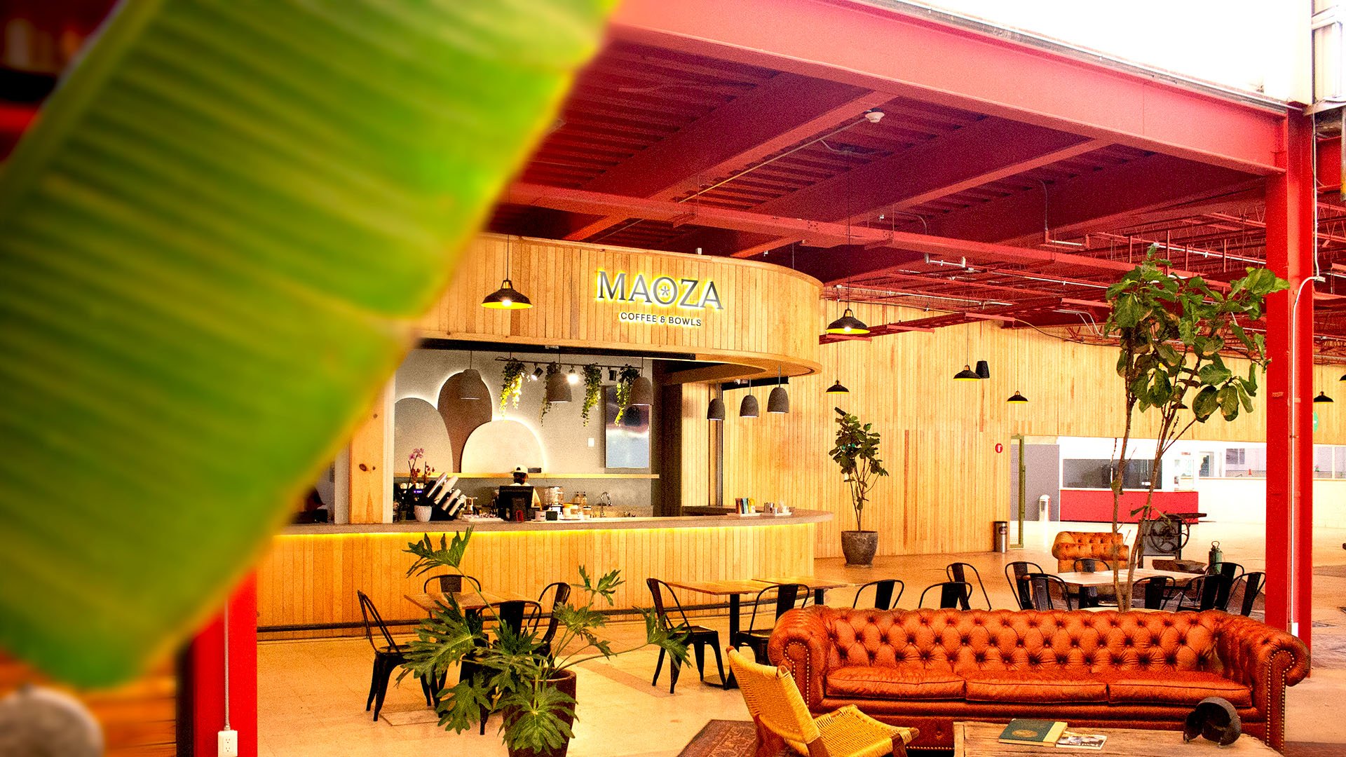 Interior de una cafetería llamada MAOZA, con mobiliario cómodo y decorativo, plantas en macetas, y un mostrador de servicio.