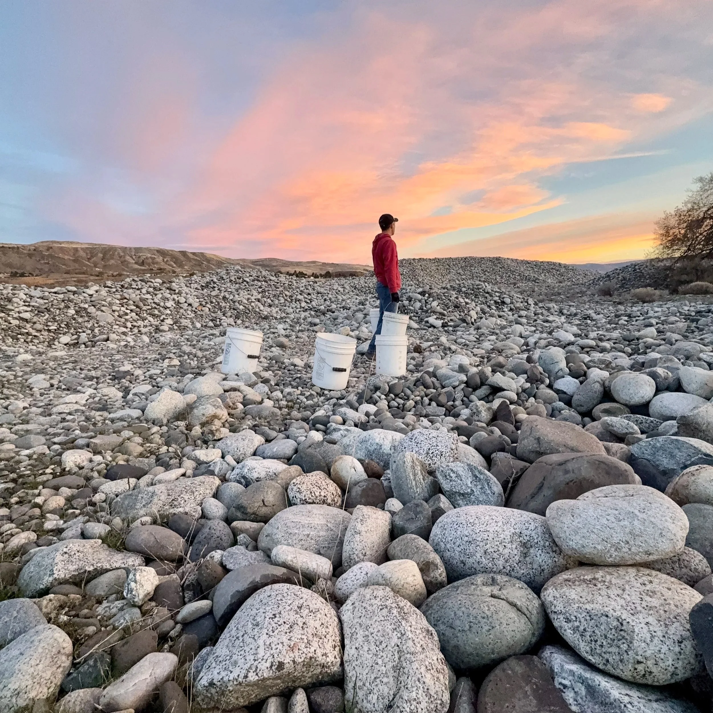 A person standing on a rocky riverbed at sunset, holding a bucket, with three other buckets nearby, against a sky with pink and orange clouds.