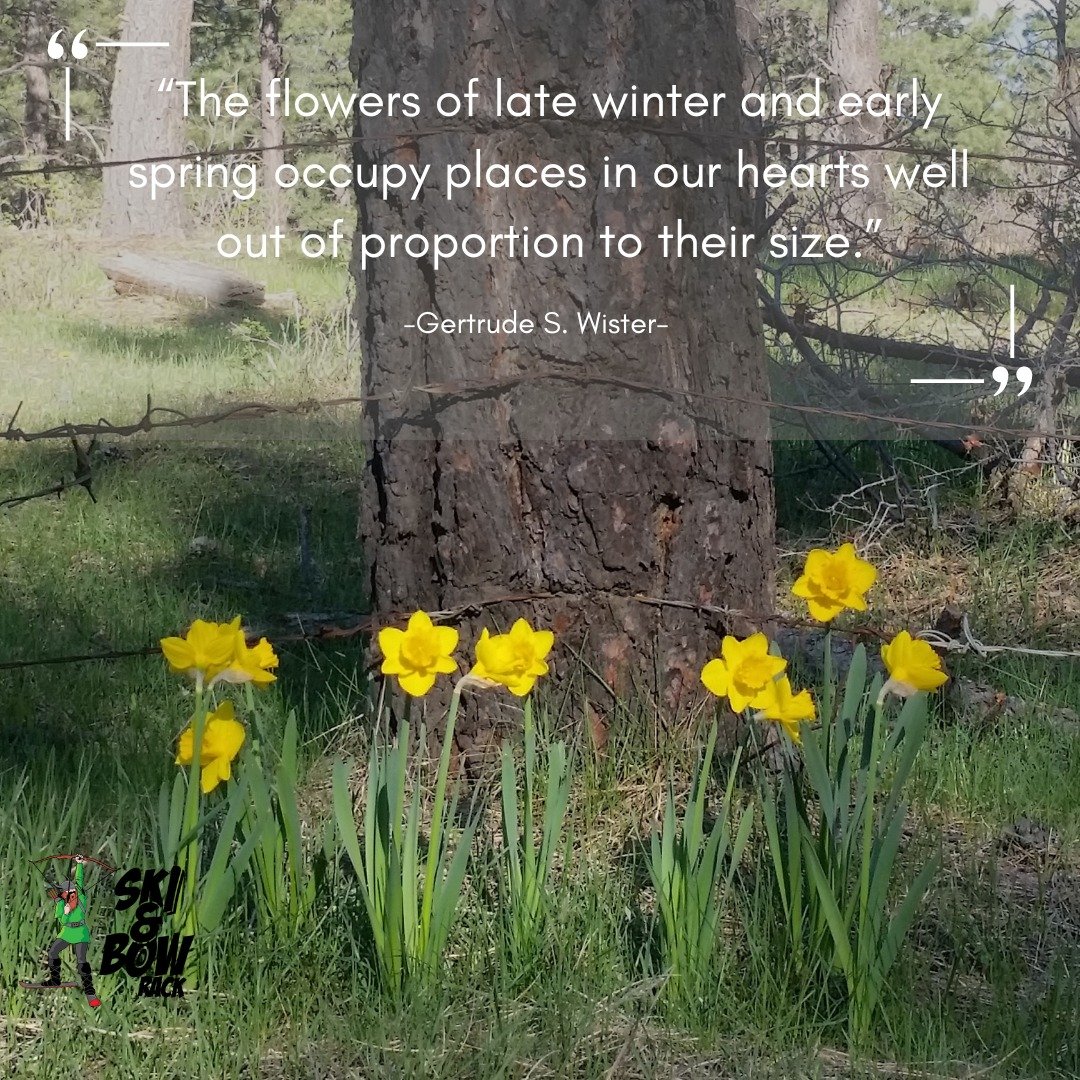 The flowers of spring bring reflexive smiles as hope of spring and summer bloom after the cold of winter.  Cherish the smiles and embrace the hope this weekend!
.
.
.
#springflowers #totaloutdoorconnection #skiandbowrack #visitpagosa