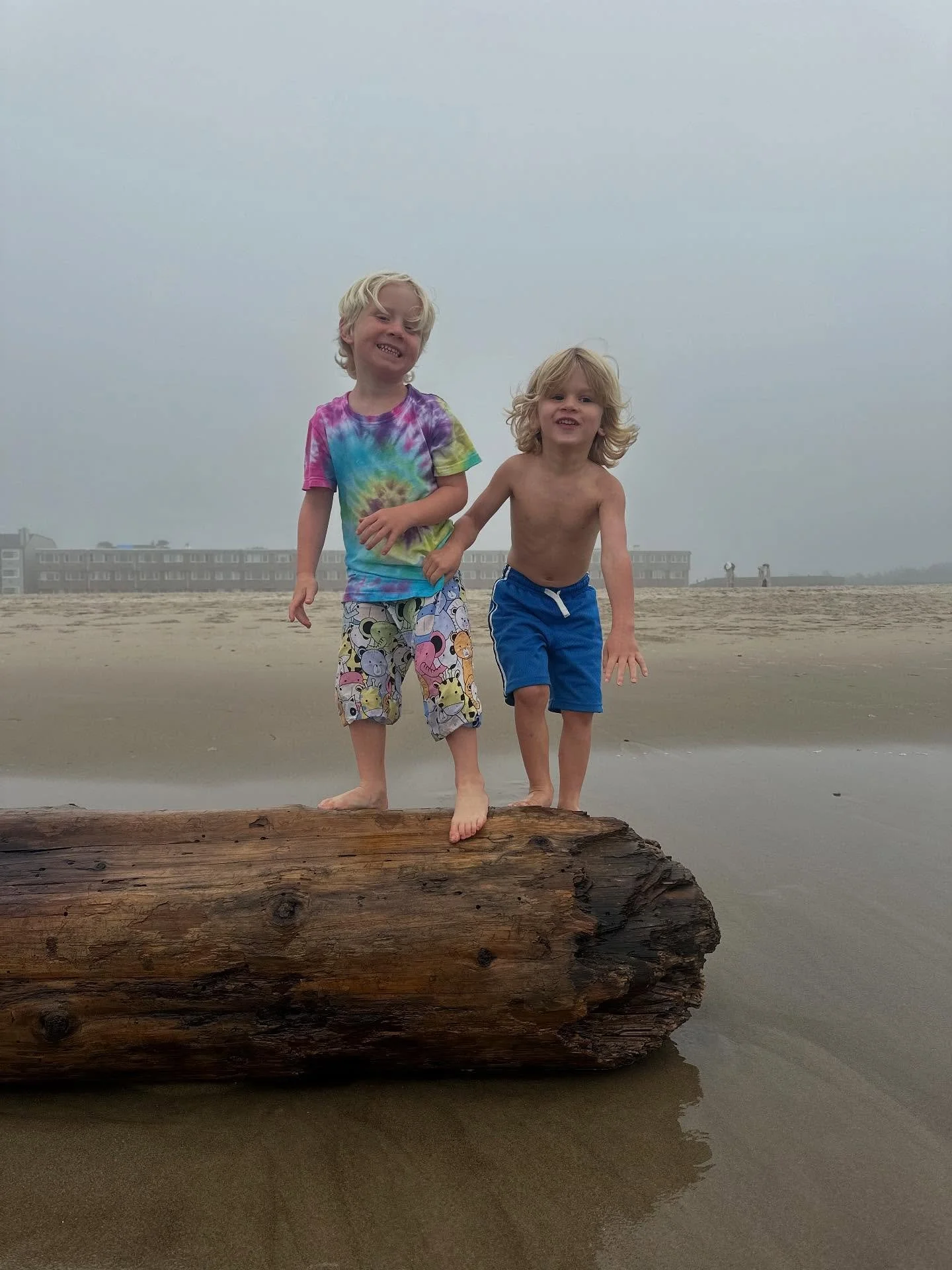 These pictures are ADORABLE yet very inaccurate of what ACTUALLY happened behind the scenes

Here are some things I learned 

1) two 4 year old (only children) boy besties in the back seat of a car for 3.5 hours is pure hell 
2) bring 7 of everything