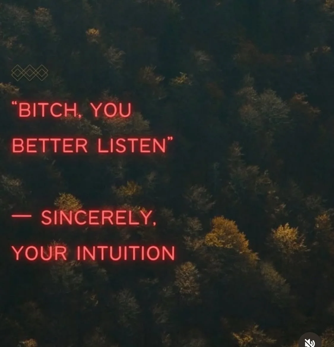 The many voices I hear in my head in a day come thru memes and songs 

&ldquo;Biiiich you best be grateful for this or you don&rsquo;t get more!&rdquo; - the queen lady one 

But I&rsquo;m feral 
I don&rsquo;t know what to do with this gift called li
