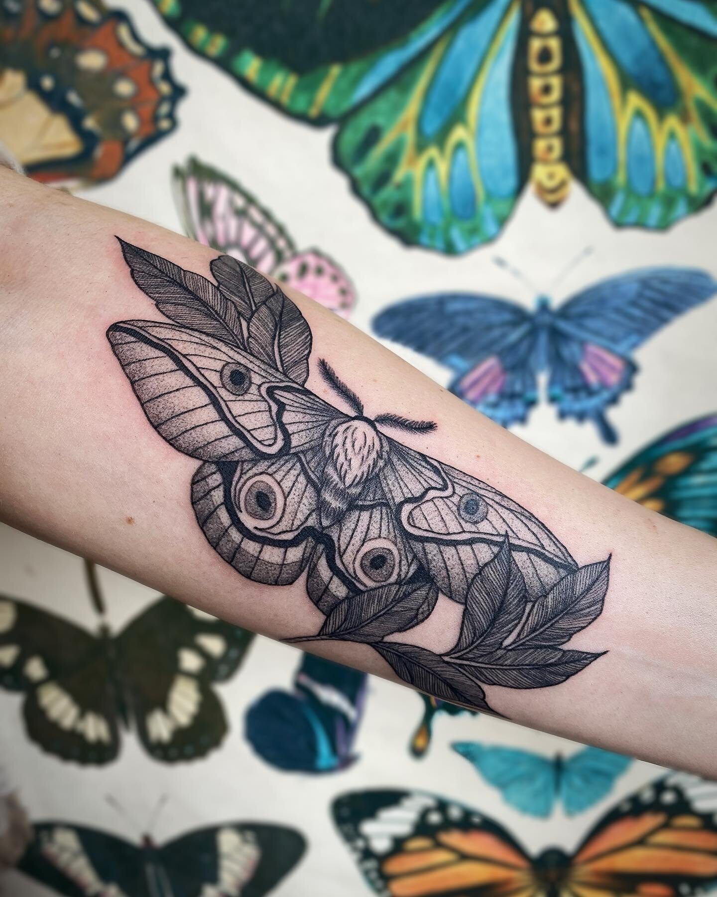 ▪️Moth Monday▪️

The latest addition to @hairbymeaganstudier quickly growing sleeve ✨ Thanks as always for the trust! 

#mothtattoo #corvallisoregon #downtowncorvallis #blackandgreytattoo #corvallistattoo #ladytattooer #femaletattooartist #corvallist