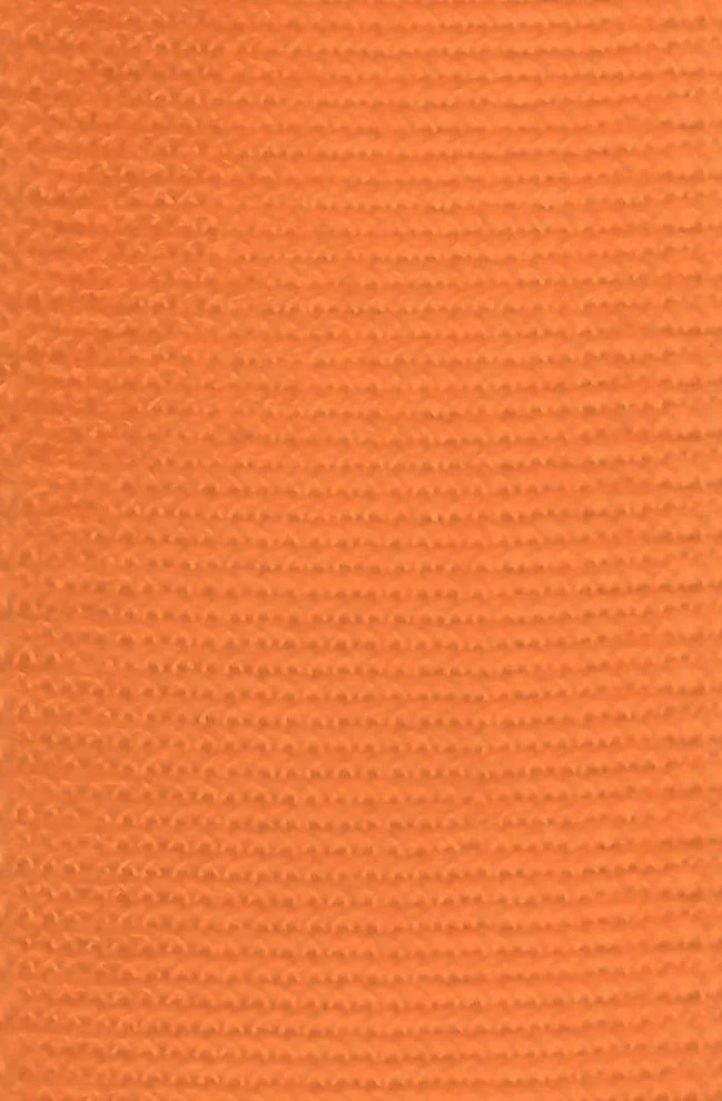 Finding Nemo Orange