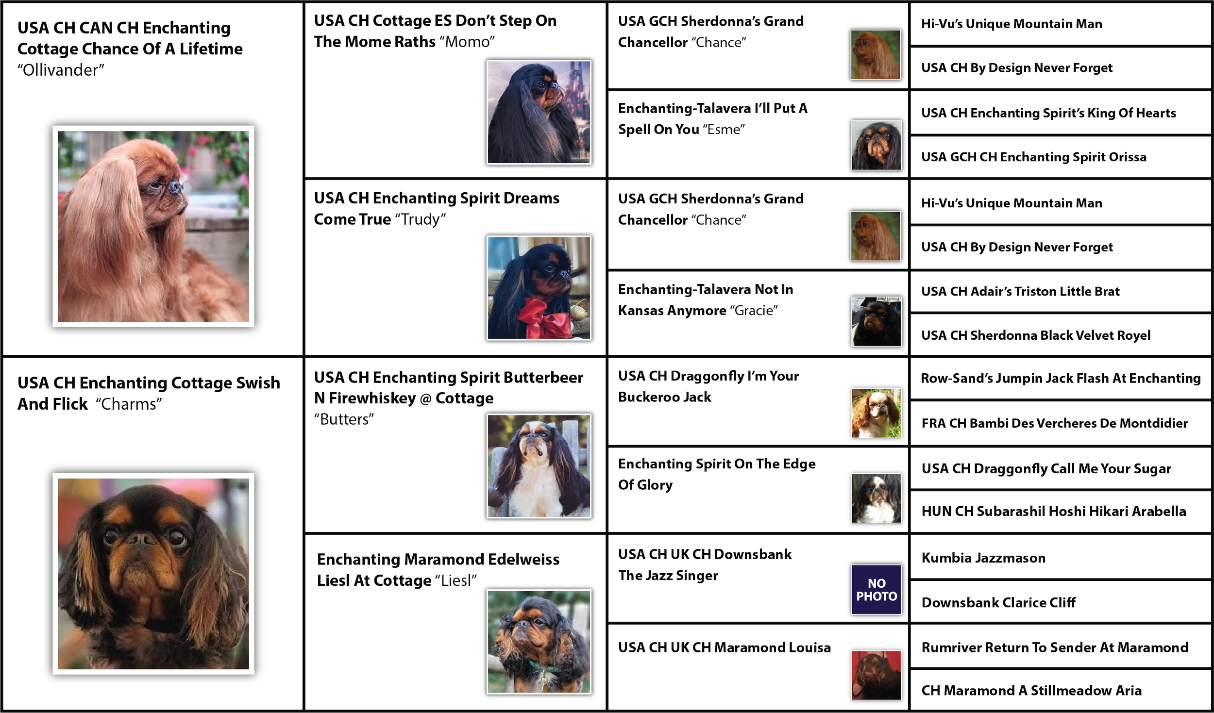 Nox and Snitch Visual Pedigree