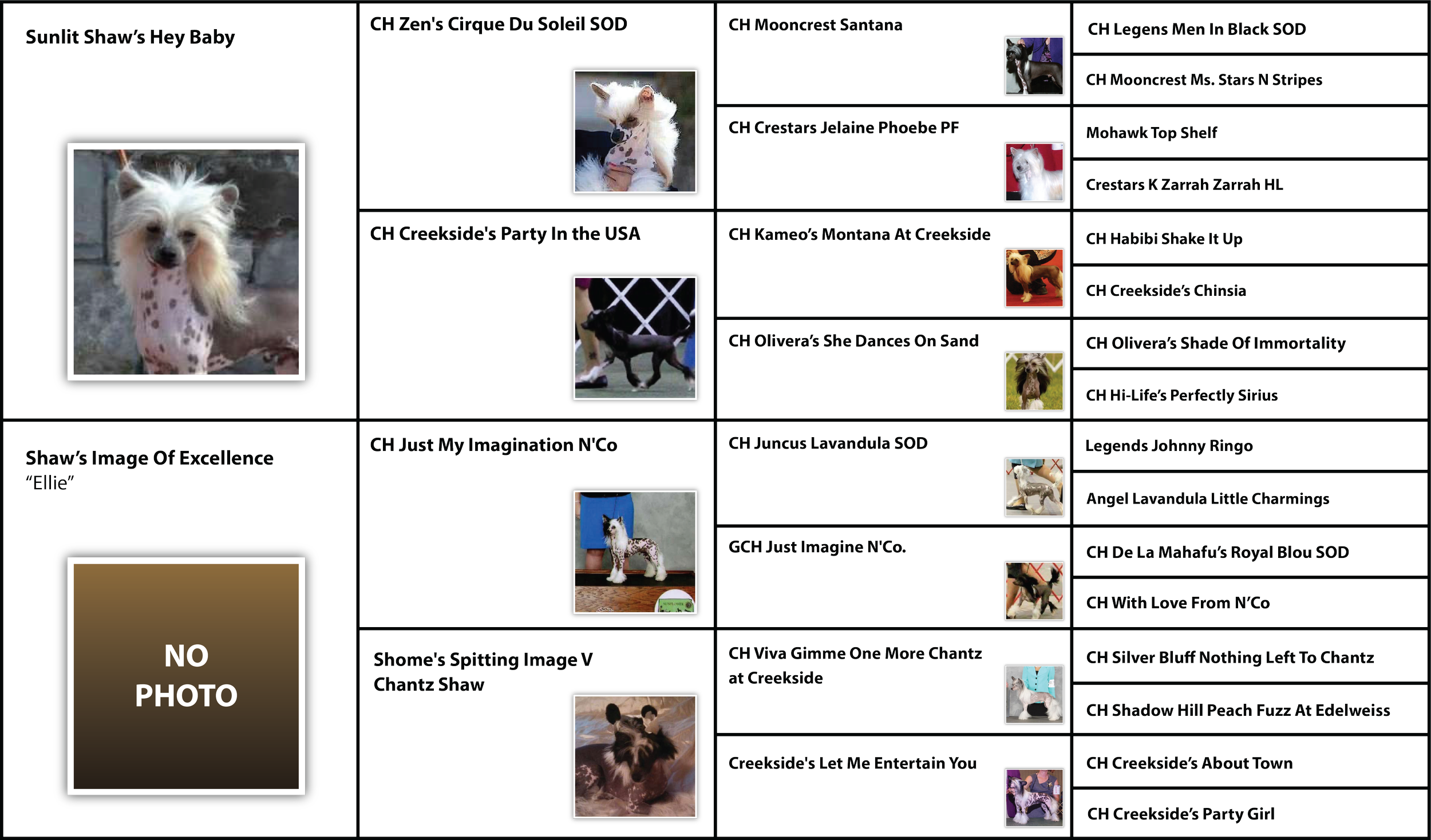 Chinese Crested Visual Pedigree